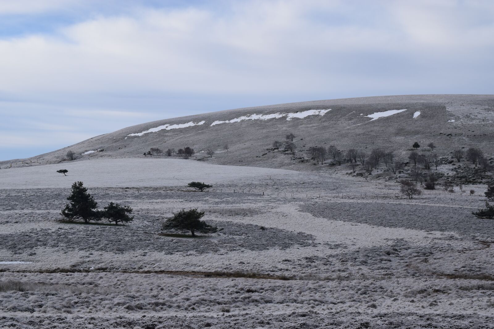 Nikon D5300 sample photo. Gel, cold, winter photography