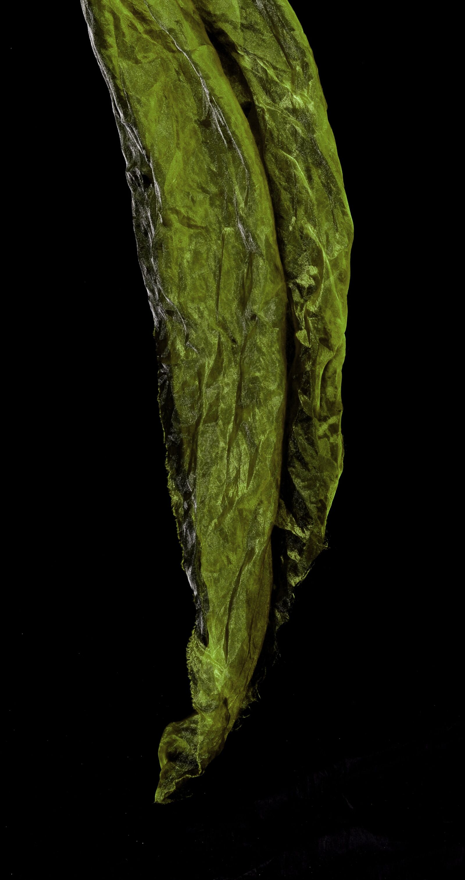 Nikon D90 sample photo. Towels, fine tissue, textile photography