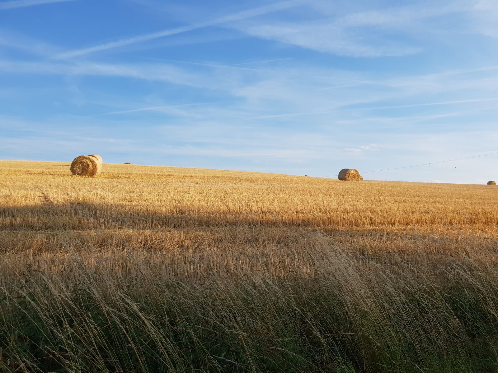 Samsung Galaxy S9 sample photo. Cornfield, sky, nature photography