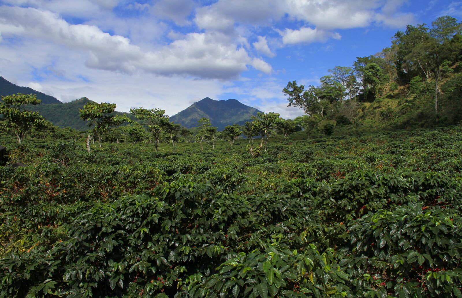 Canon EOS 7D sample photo. Landscape, sky, clouds photography