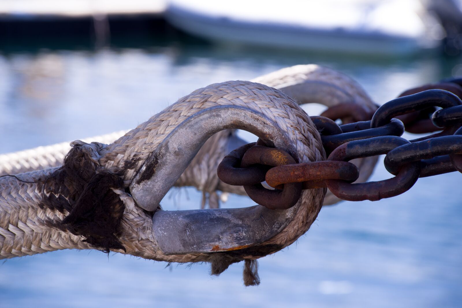 Pentax K-1 Mark II + Sigma sample photo. Rope, mooring, chain photography