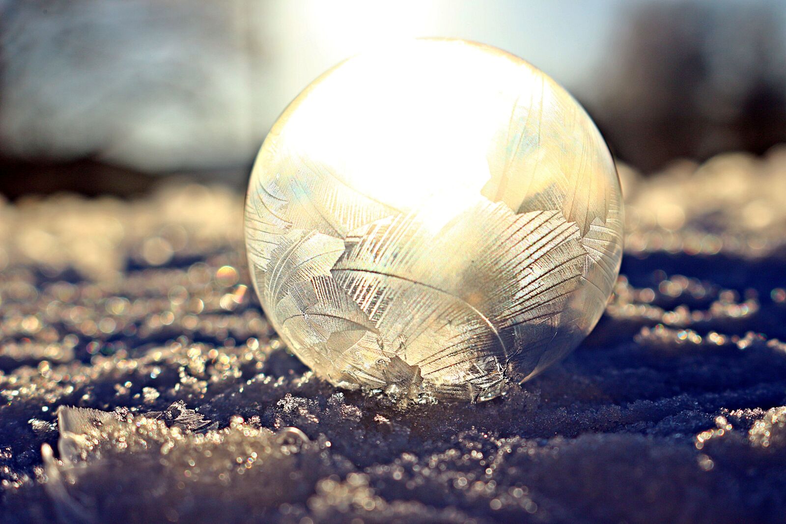 Canon EOS 100D (EOS Rebel SL1 / EOS Kiss X7) sample photo. Soap bubble, eiskristalle, frost photography