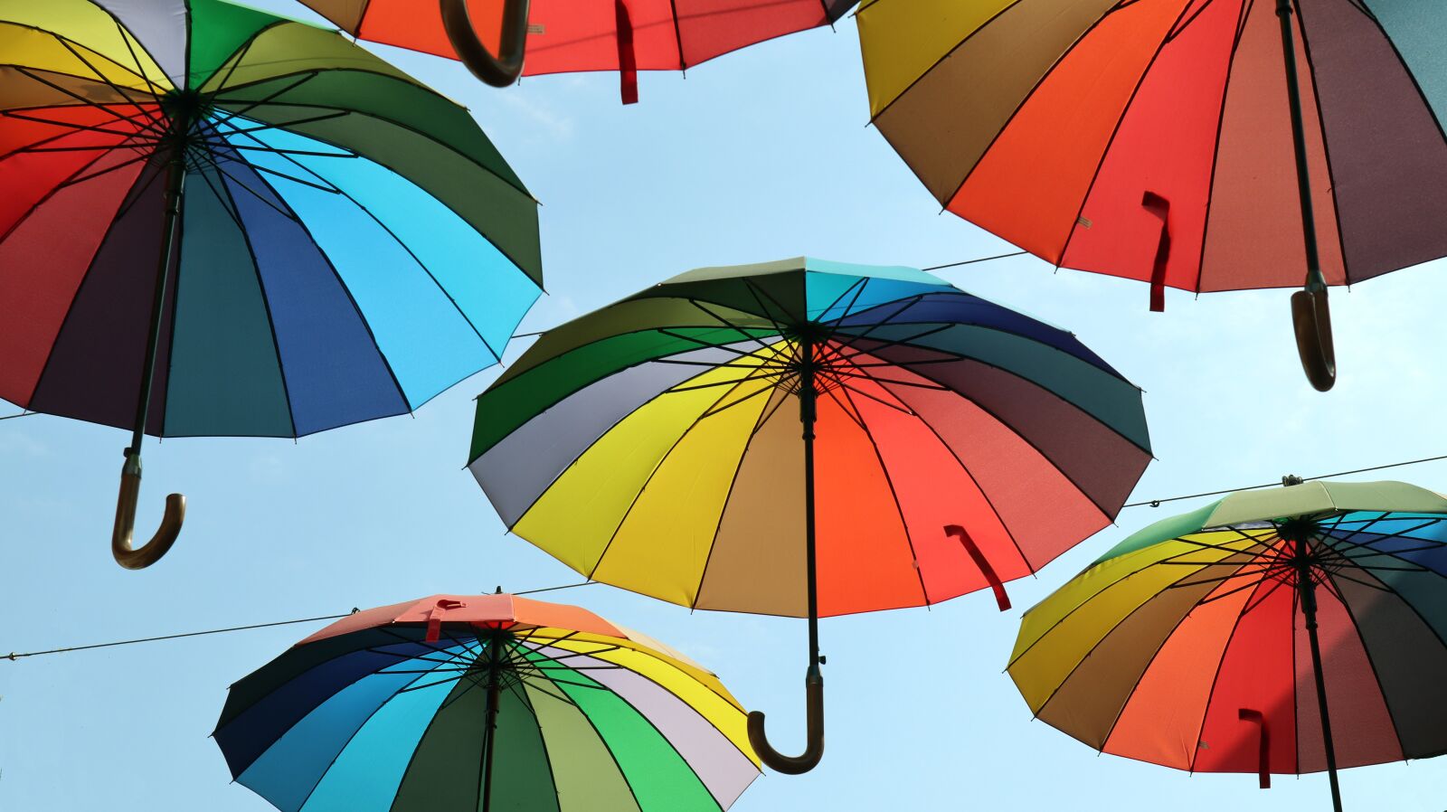 Canon EOS M50 (EOS Kiss M) sample photo. Colored, sun umbrellas, rainbow photography