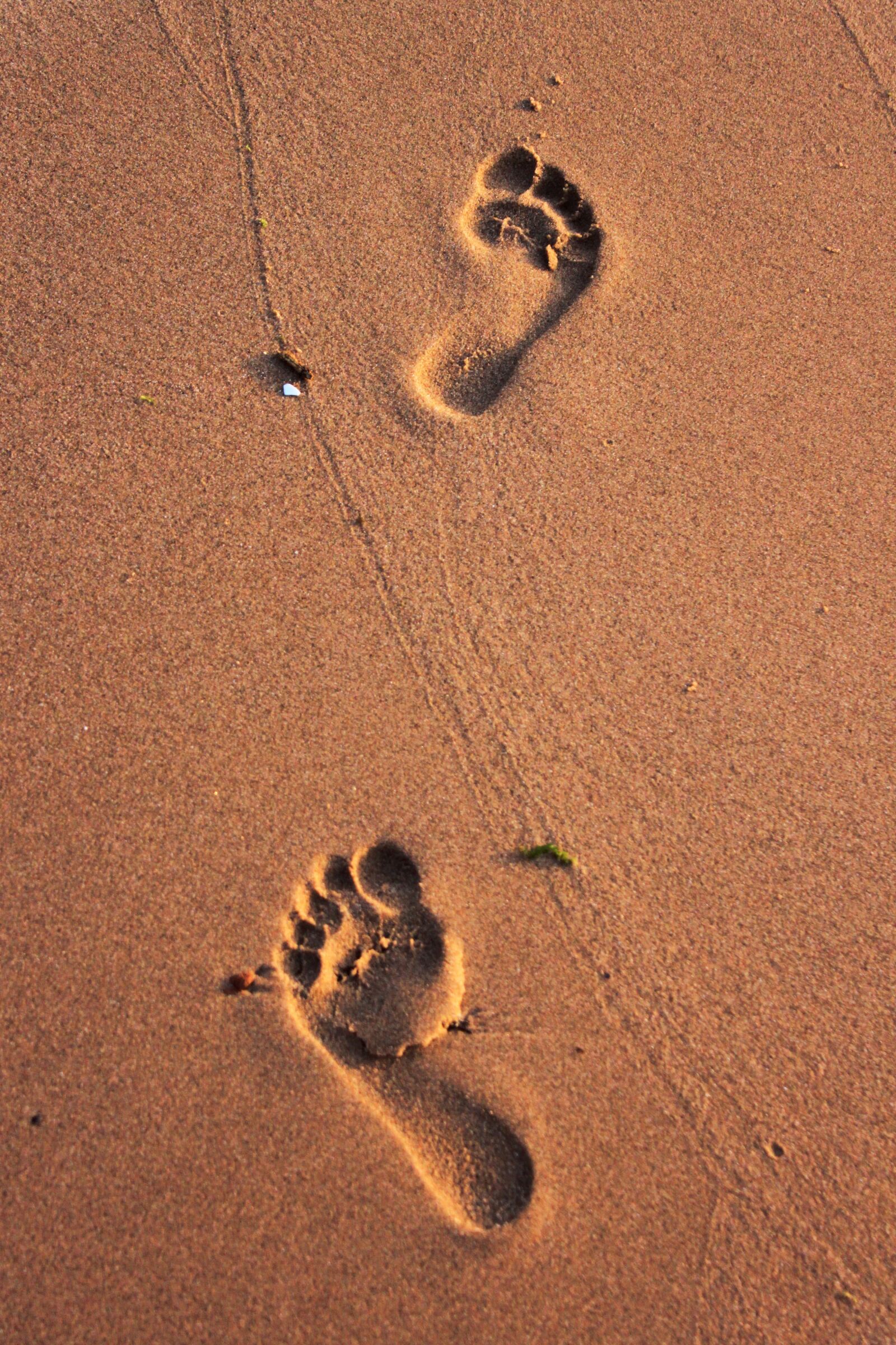 Canon EOS 500D (EOS Rebel T1i / EOS Kiss X3) sample photo. Beach, iz, footprint photography