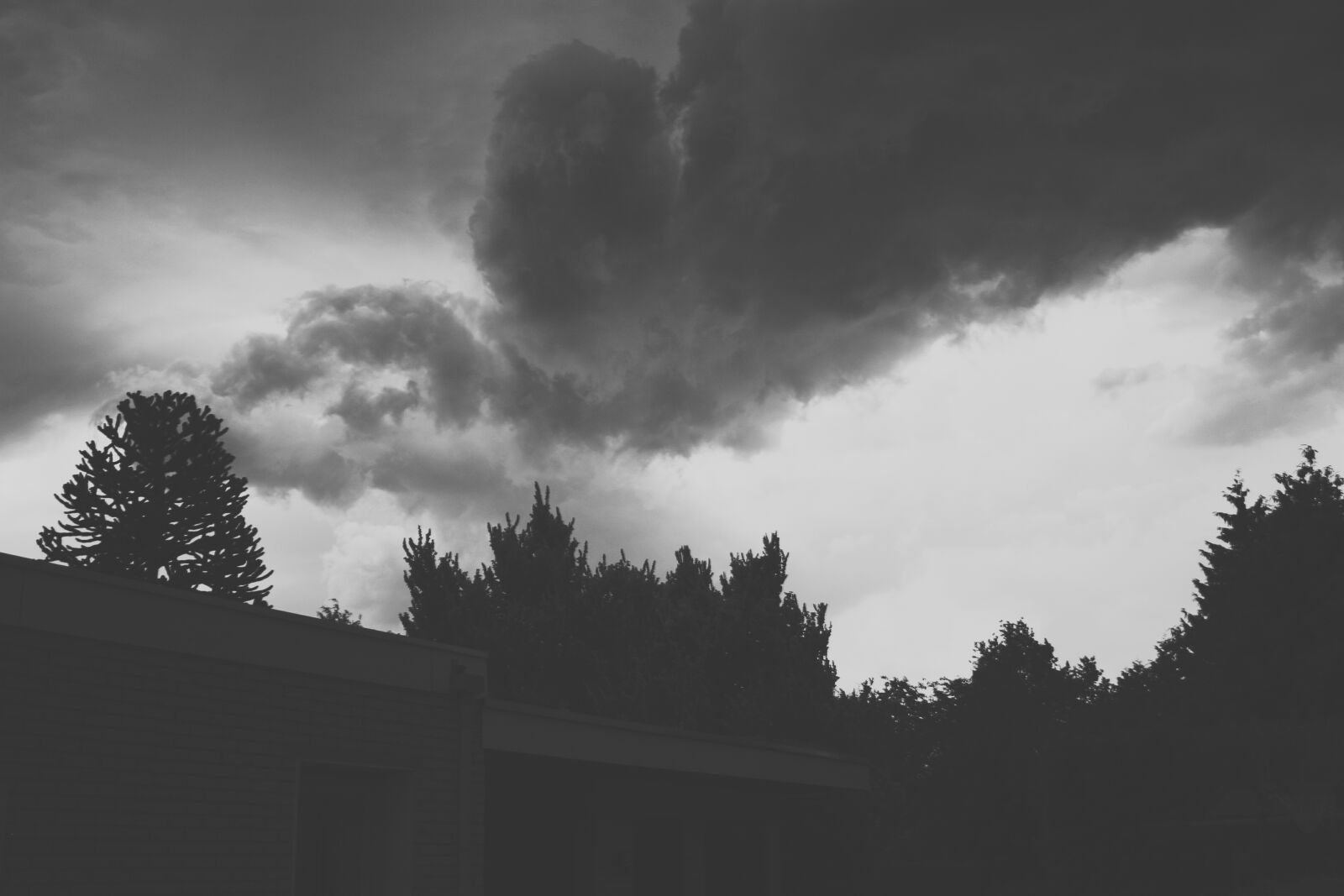 Canon EOS 450D (EOS Rebel XSi / EOS Kiss X2) sample photo. Angry, clouds, dark, clouds photography