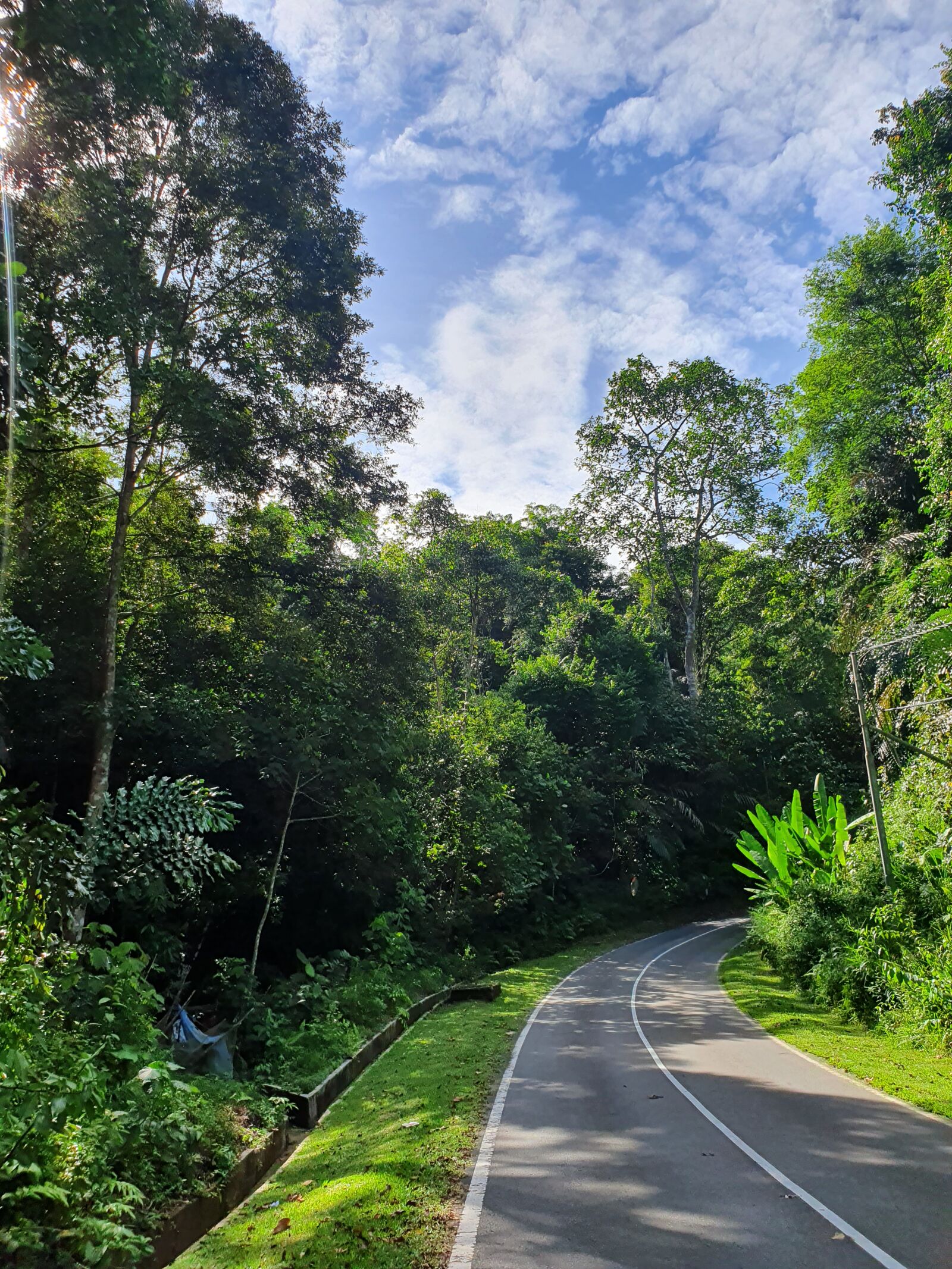 Samsung Galaxy S10 sample photo. Come with me photography