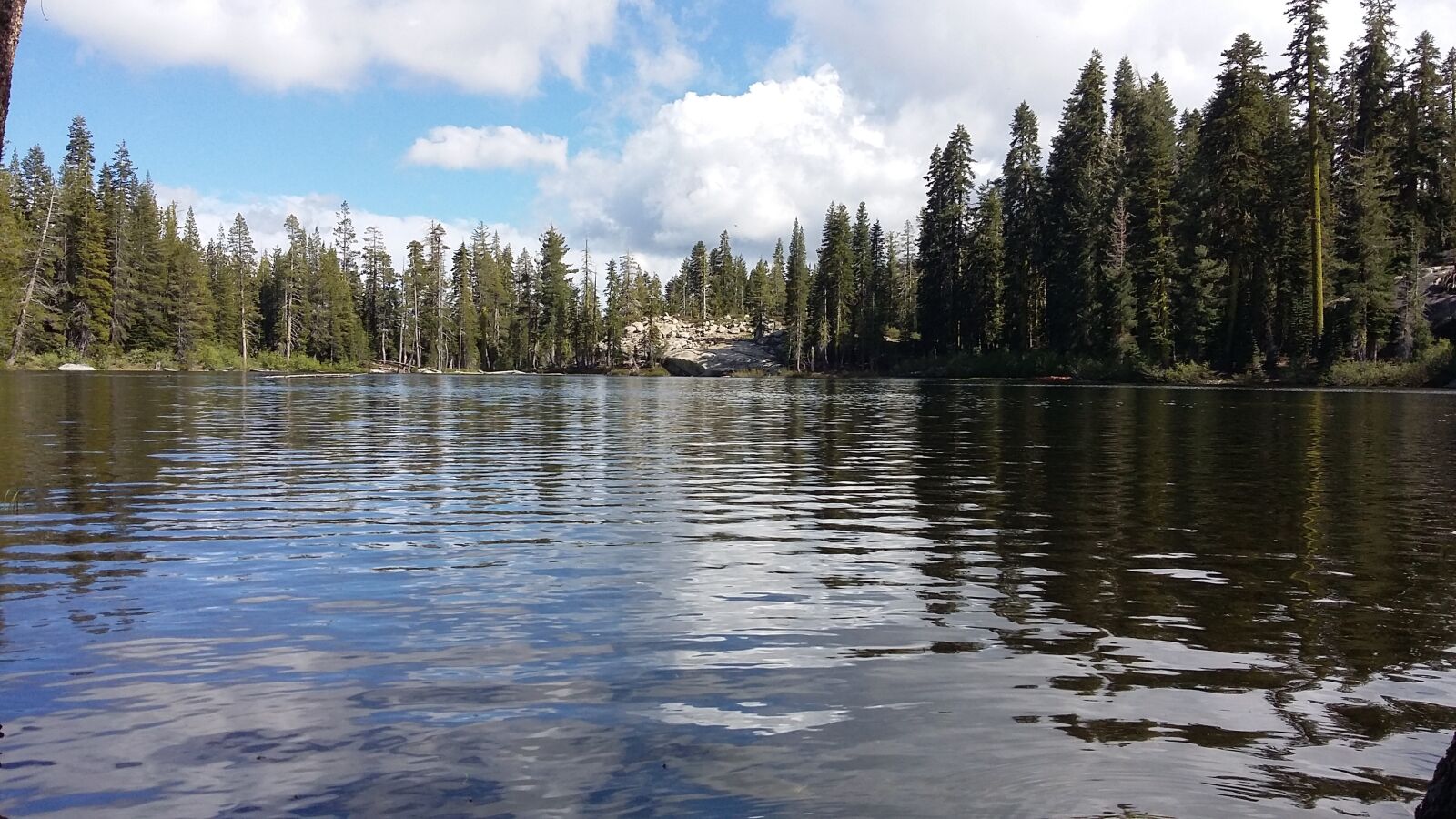 Samsung Galaxy A3 sample photo. Lake, water, trees photography