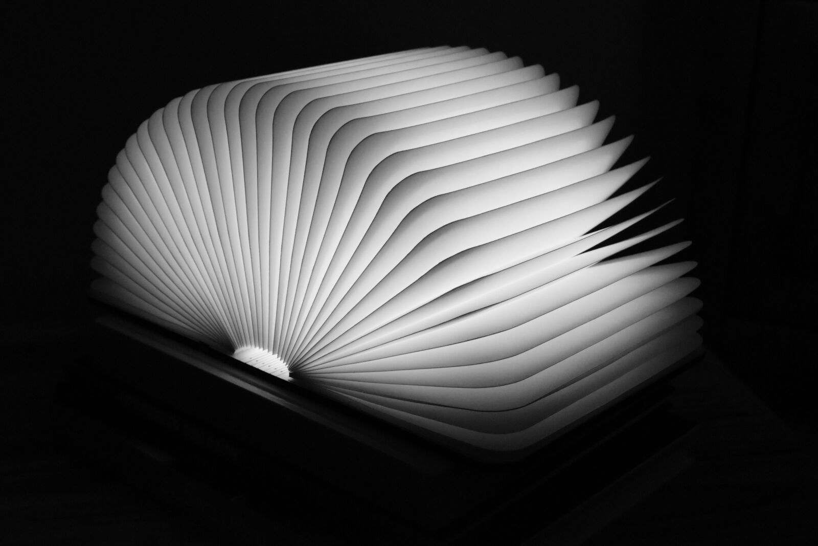 Nikon D5600 sample photo. Lamp, object, light photography