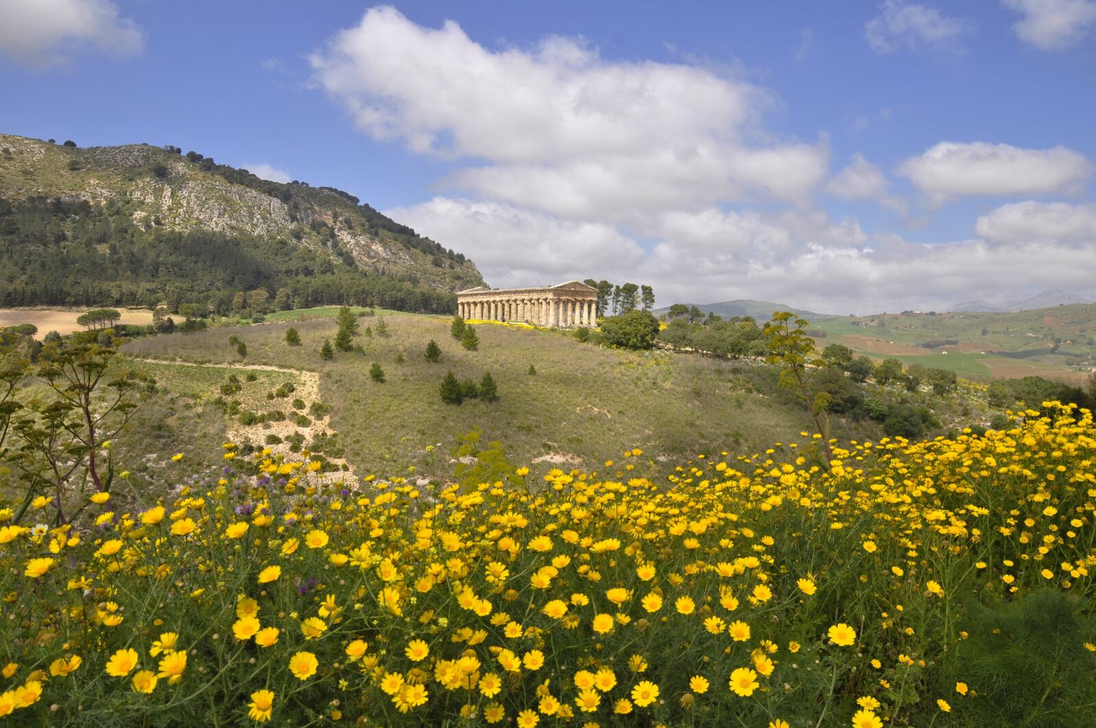 Nikon D5000 sample photo. Temple, sicily, segesta photography