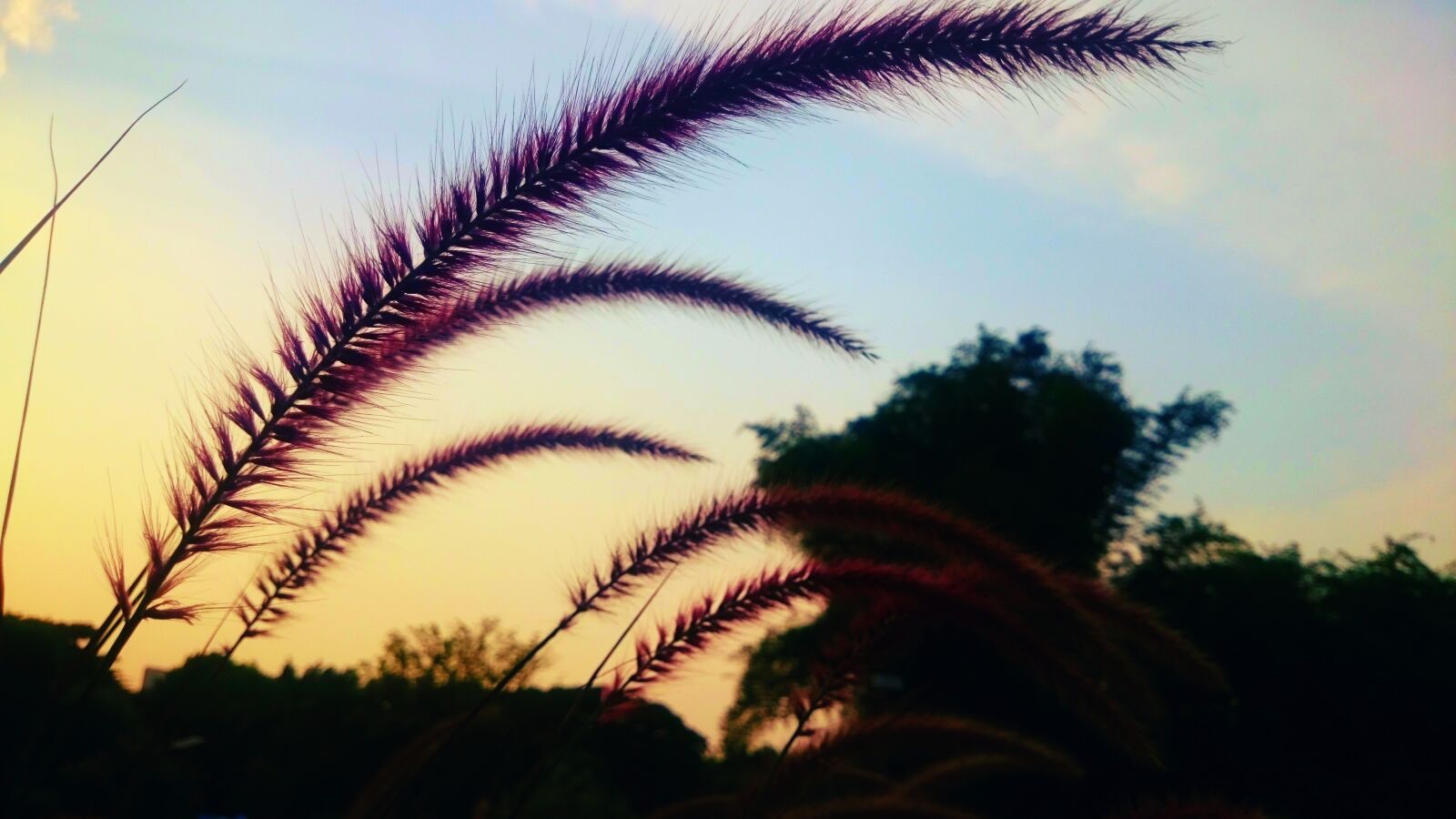 Sony Xperia Z2 sample photo