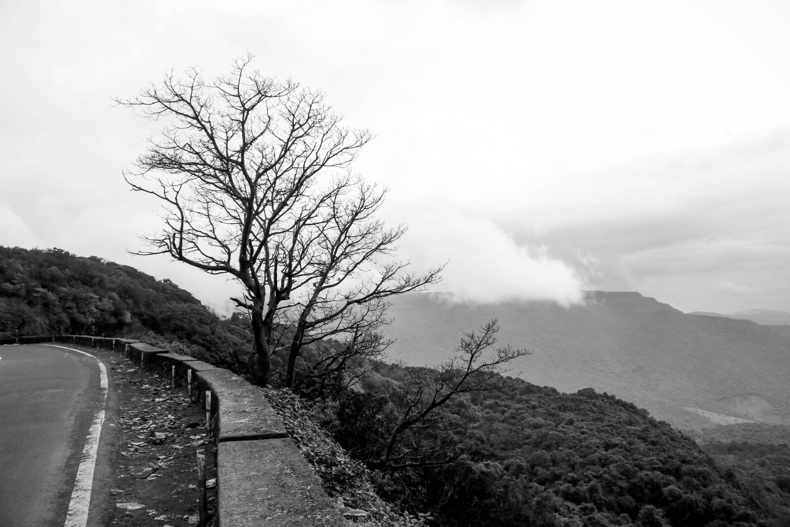 Canon EOS 70D sample photo. Black, and, white, dark photography