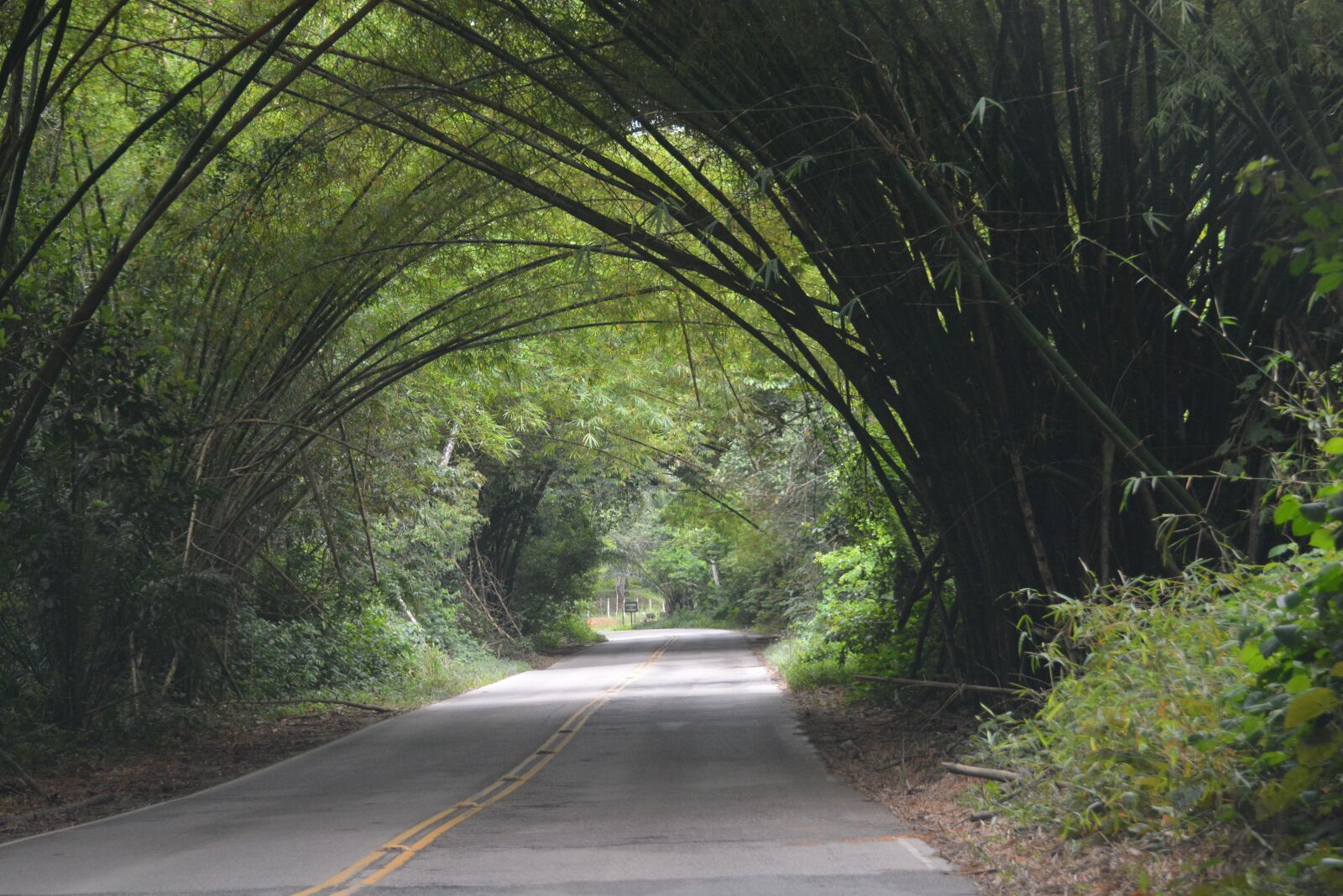 Nikon D7100 sample photo. Road, nature, transport photography