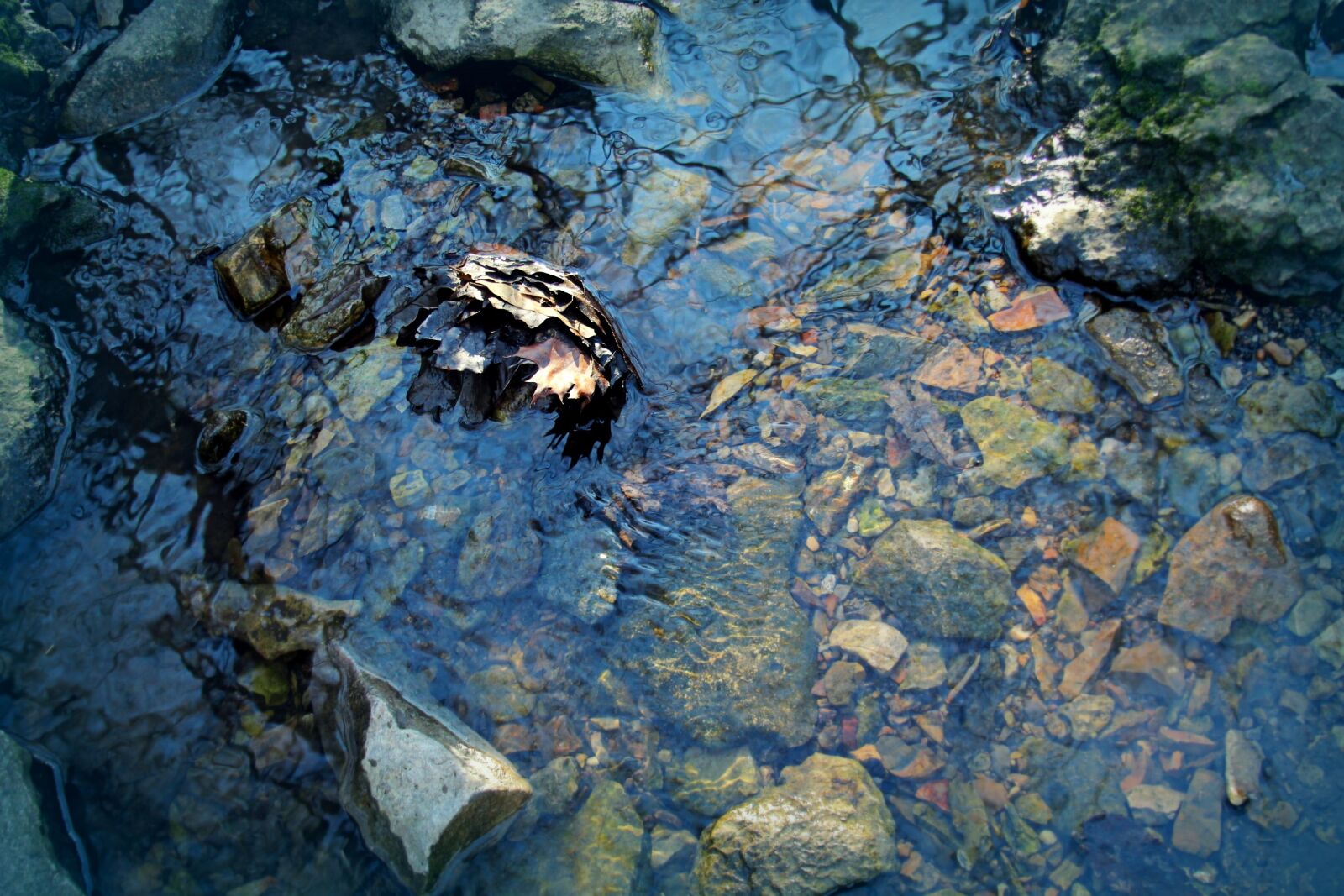 Canon EF 28-135mm F3.5-5.6 IS USM sample photo. Water, stream, creek photography