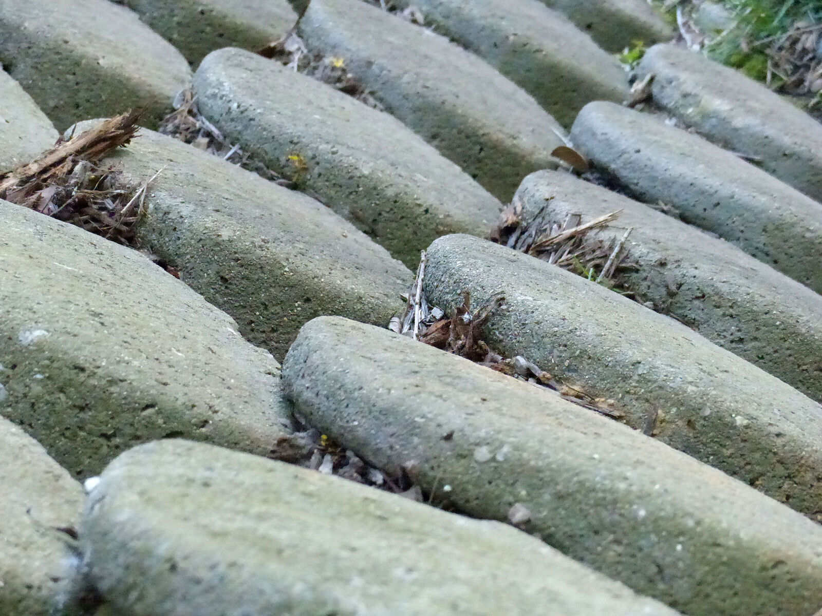 Panasonic Lumix DMC-FZ200 sample photo. Pattern, sticks, stone, wall photography