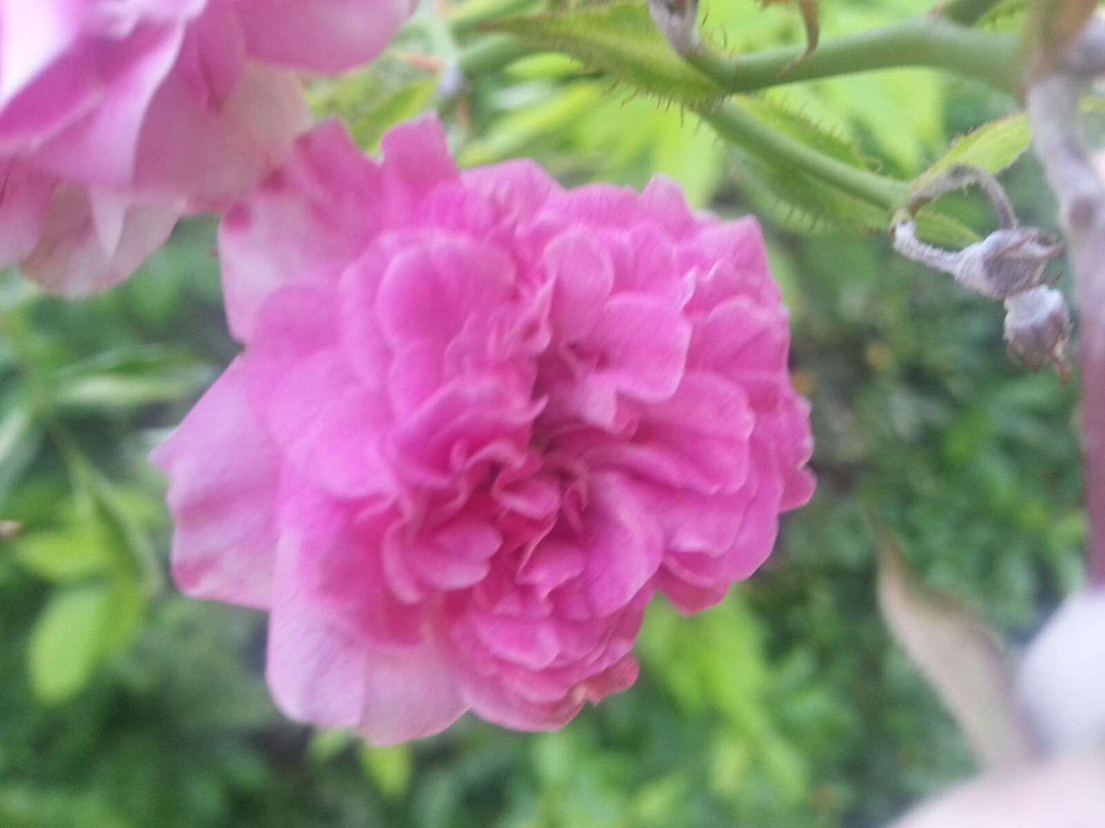 Samsung Galaxy Note2 sample photo