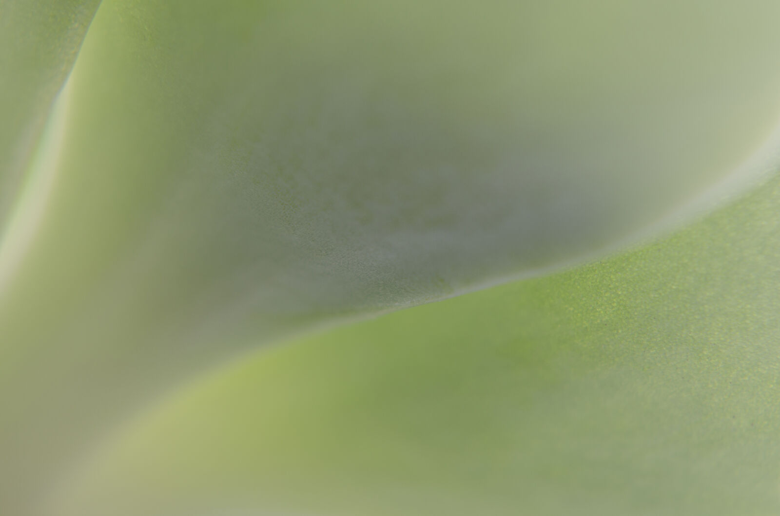 Nikon D7000 sample photo. Abstract, abstrato, background, brazilian photography