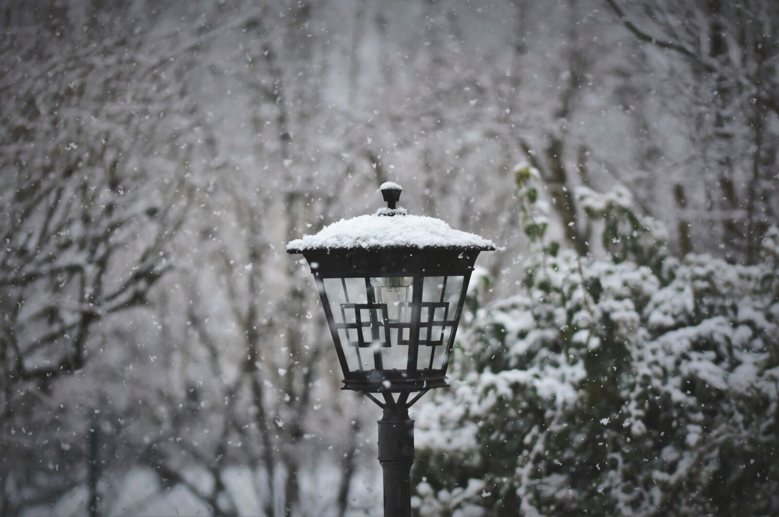 Nikon D7200 sample photo. Lantern, lamp, garden lamp photography
