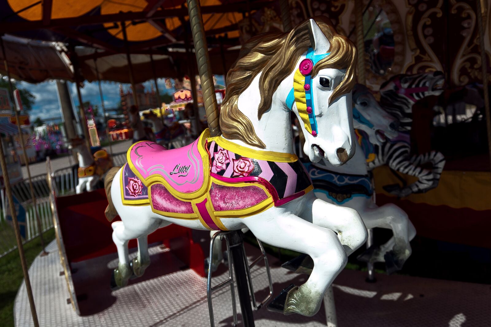 Nikon D700 sample photo. Carousel, festival, entertainment photography