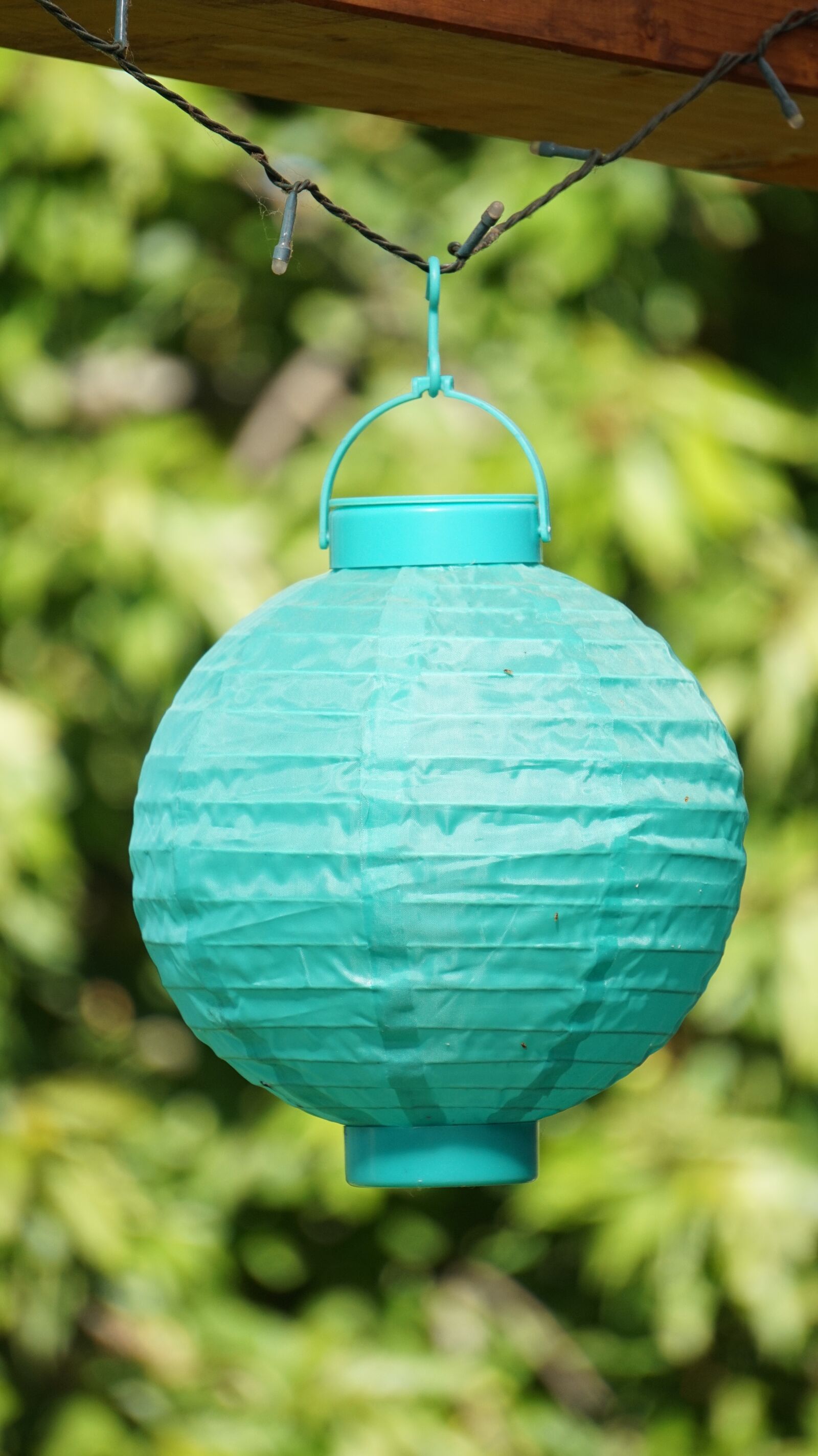 Sony Alpha a5000 (ILCE 5000) + Sony E 55-210mm F4.5-6.3 OSS sample photo. Lampion, nature, summer photography