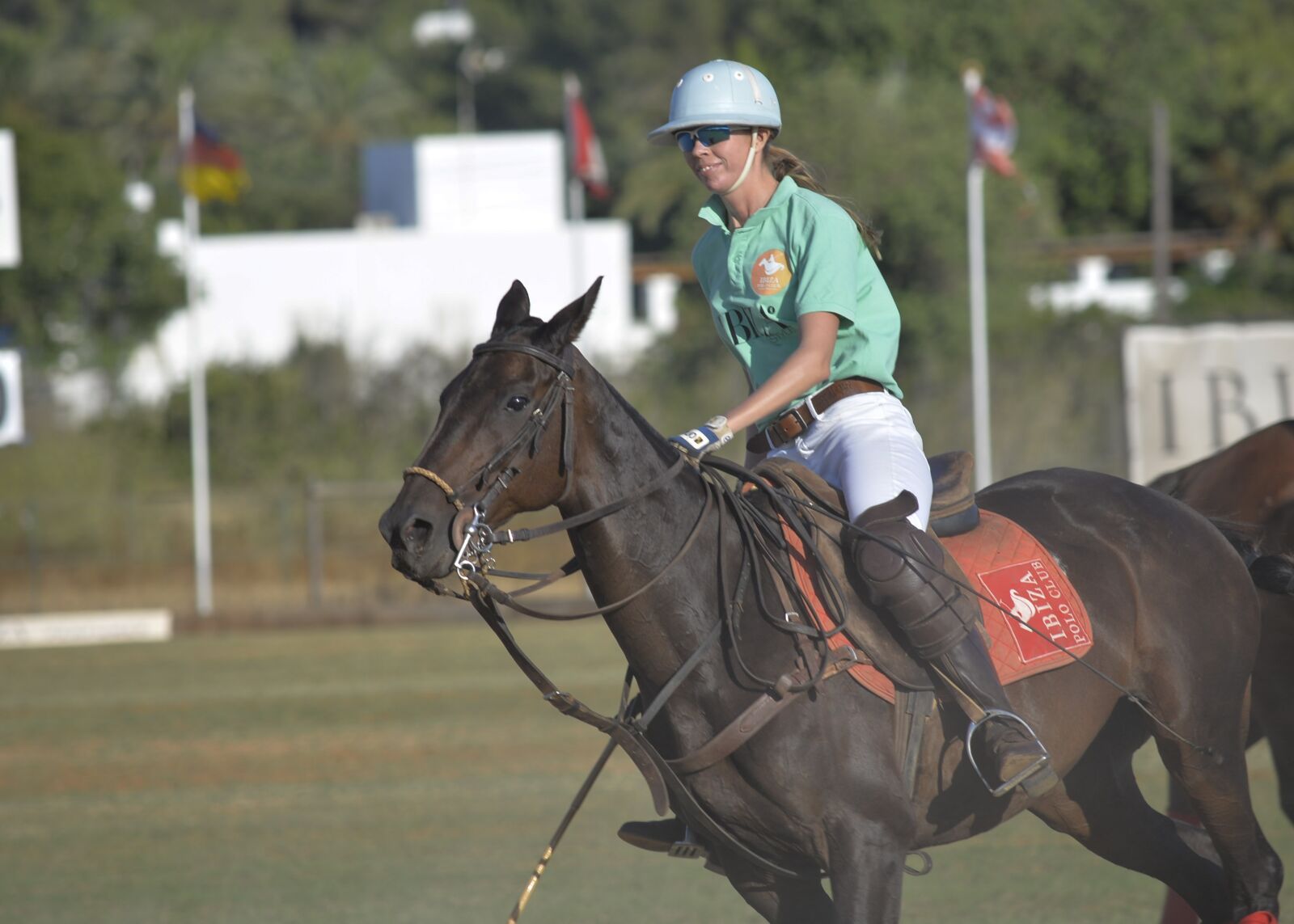 Nikon D610 sample photo. Horse, horses, polo photography