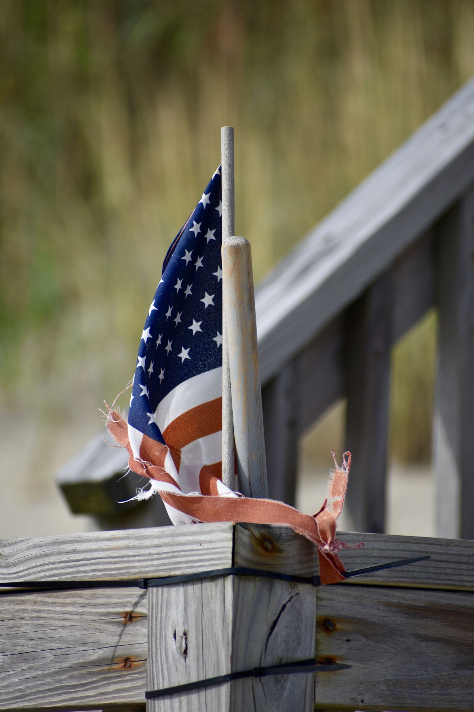 Nikon D3400 sample photo. Flag, beach, dune photography