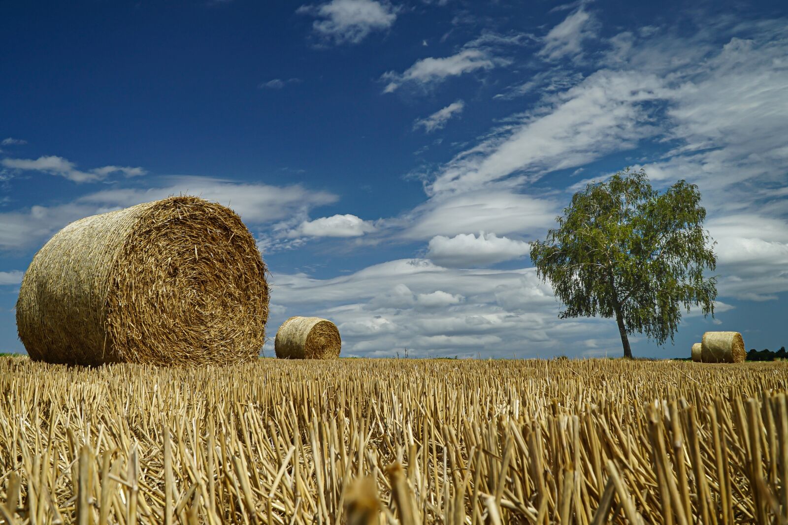 Sony a7 II + Sony E PZ 18-105mm F4 G OSS sample photo. Stubble, straw, agriculture photography