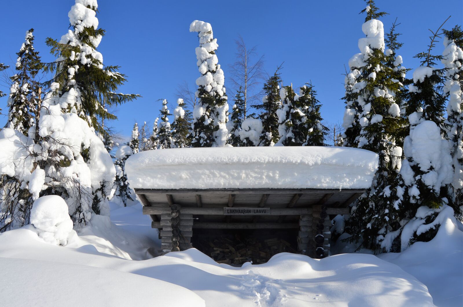 Nikon D3200 sample photo. Snow, winter, cold photography