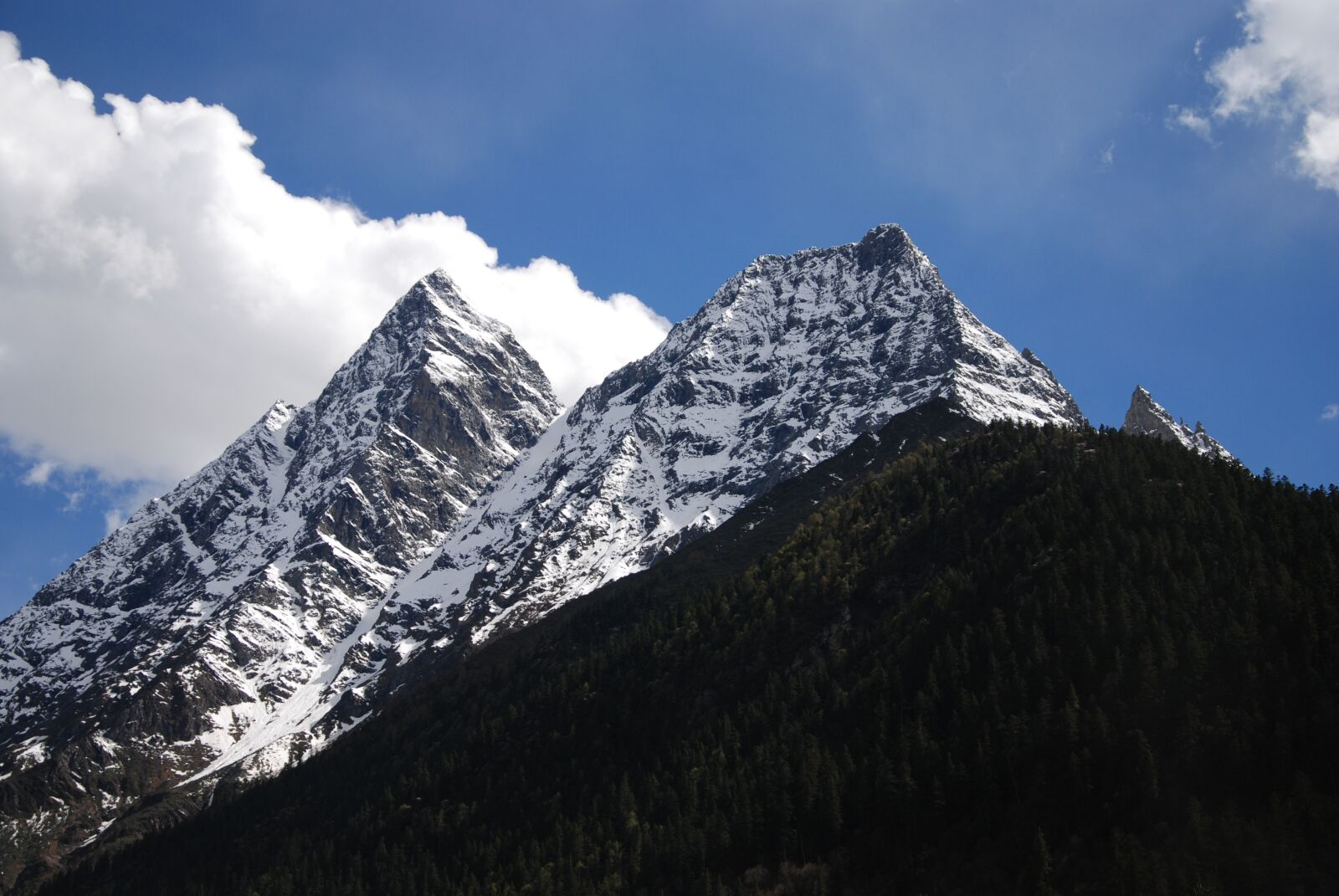 Nikon D80 sample photo. Siguniangshan, white cloud, snow photography