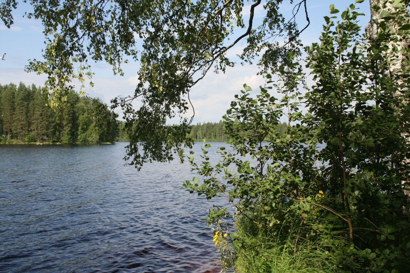 Canon EOS 450D (EOS Rebel XSi / EOS Kiss X2) sample photo. Finland, haavisto, lake photography