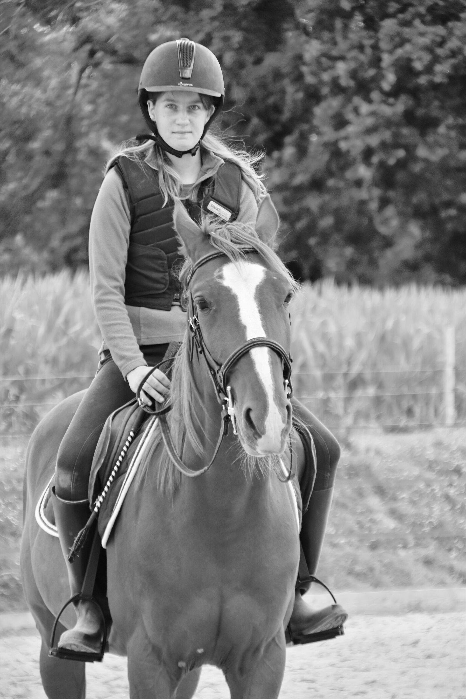 Nikon D5600 sample photo. Horse, horse backriding, girl photography