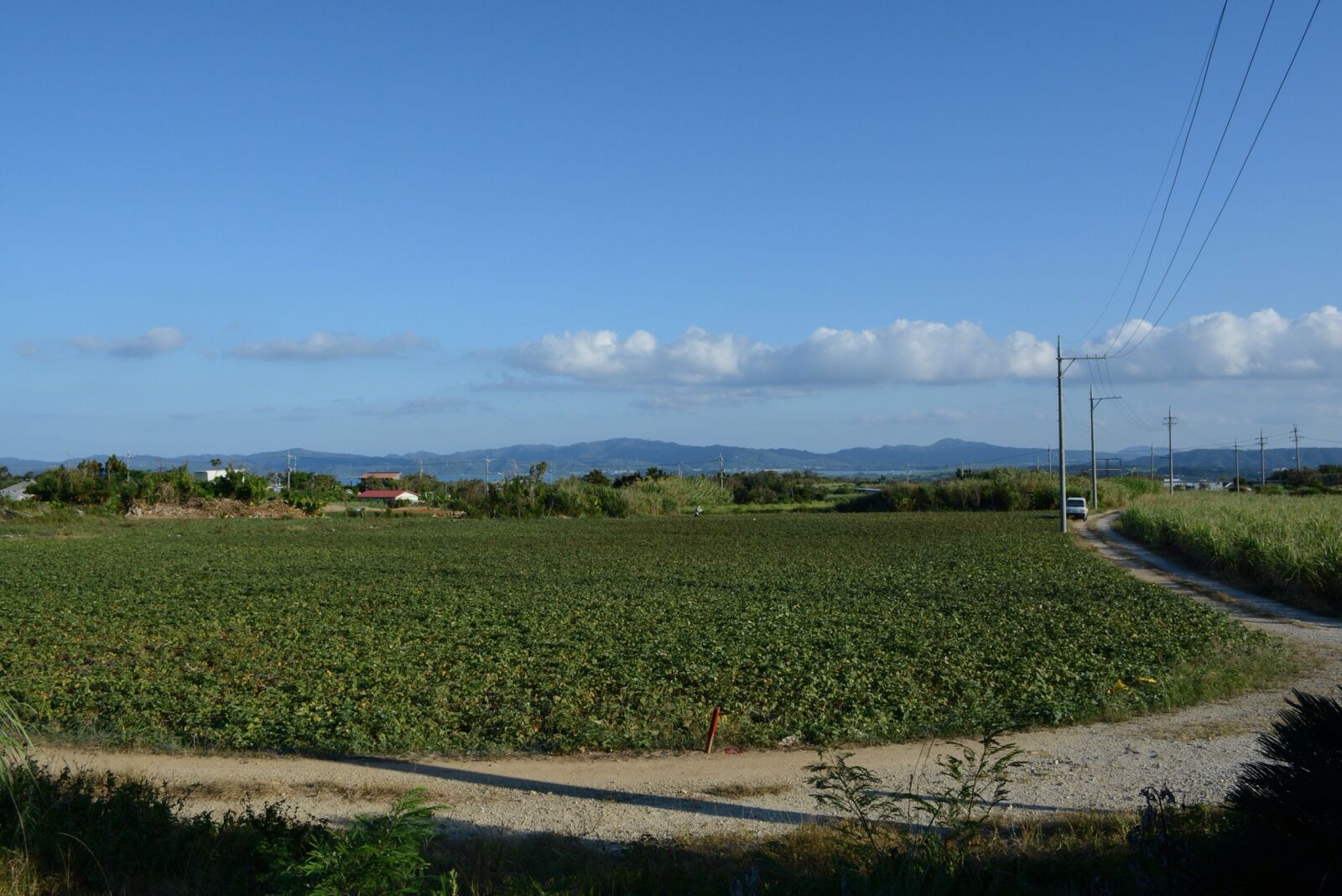 Nikon D5200 sample photo. Sky, cloud, field photography