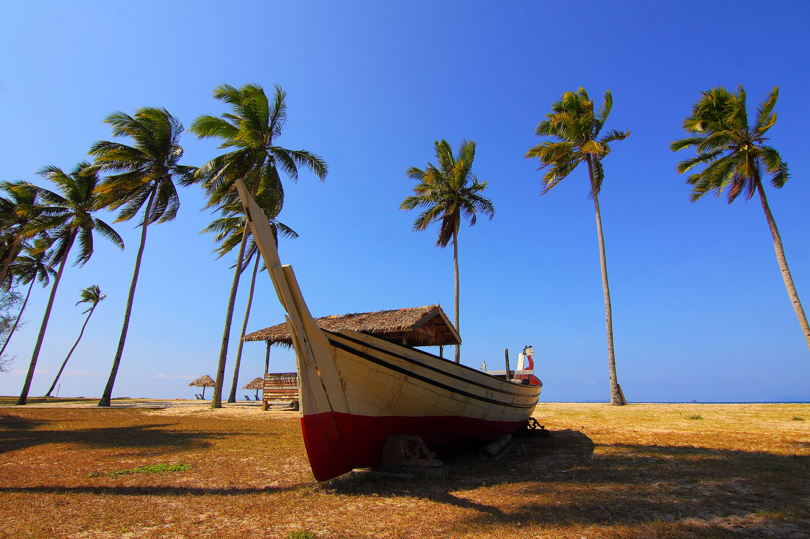 Canon EOS 50D sample photo. Beach, coconut, cottages, grass photography