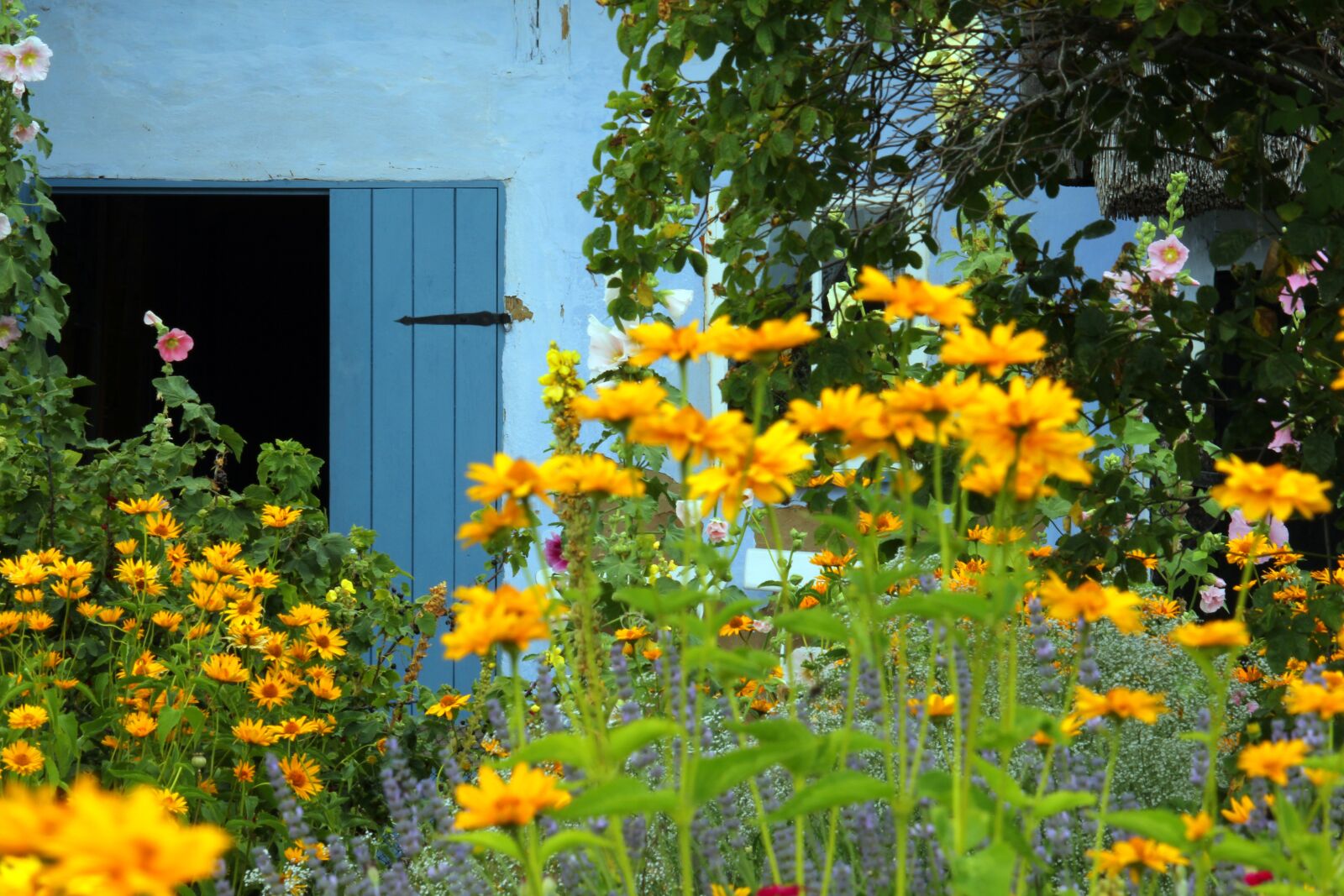 Canon EF-S 55-250mm F4-5.6 IS STM sample photo. Farm, thatched roofs, cottage photography