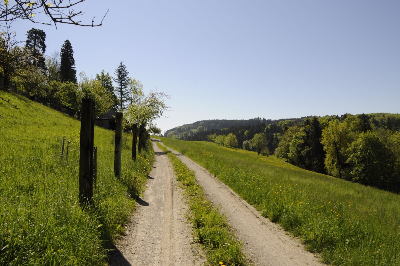 Nikon D5000 sample photo. Away, spring, switzerland photography