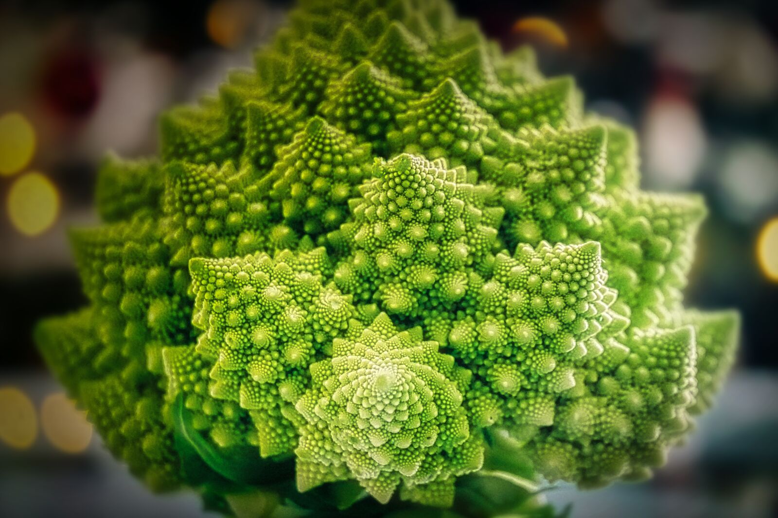 Panasonic Lumix DMC-GX8 sample photo. Romanesco, cauliflower, vegetables photography