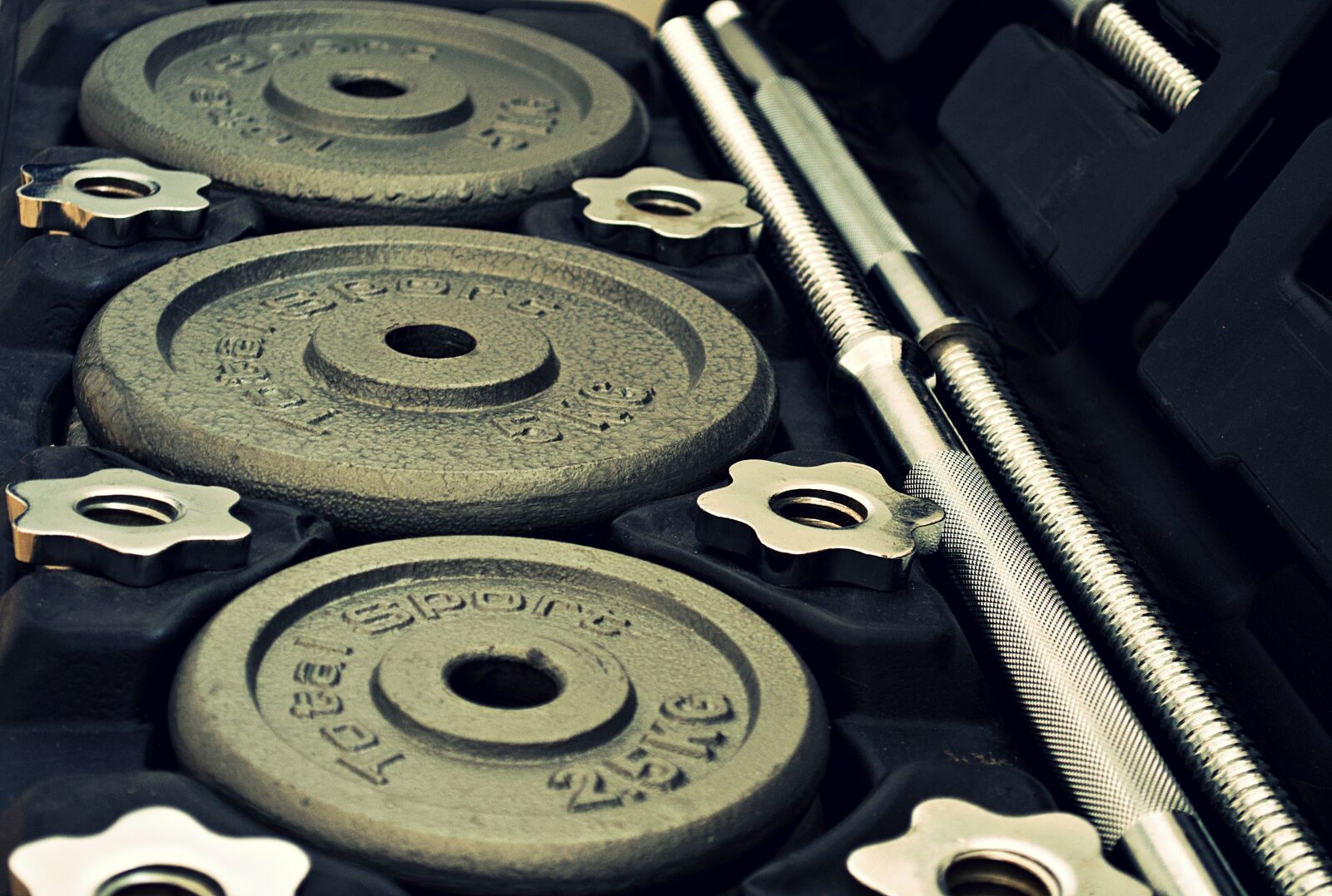 Nikon D5100 sample photo. Weights, dumbbell, metal photography