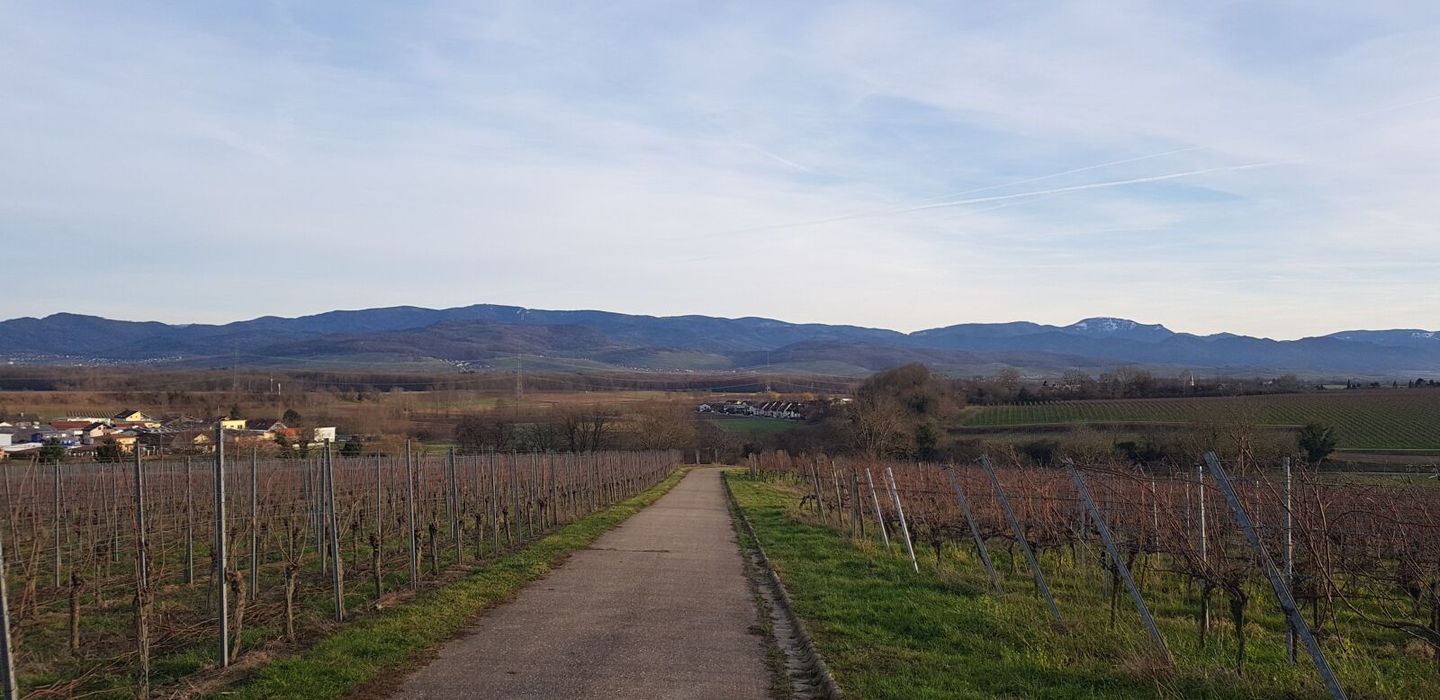 Samsung Galaxy S8 sample photo. Nature, landscape, panorama photography