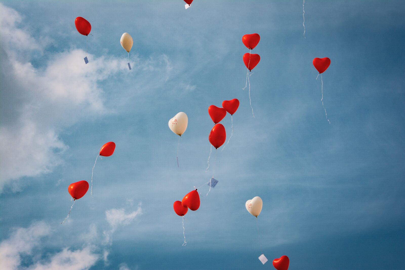 Nikon D7100 sample photo. Balloons, wedding, sky photography
