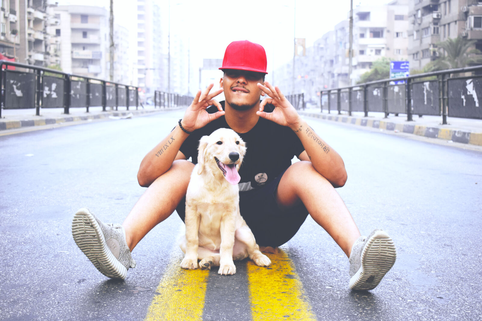 Nikon D3300 sample photo. Dogs, psychgraphy photography