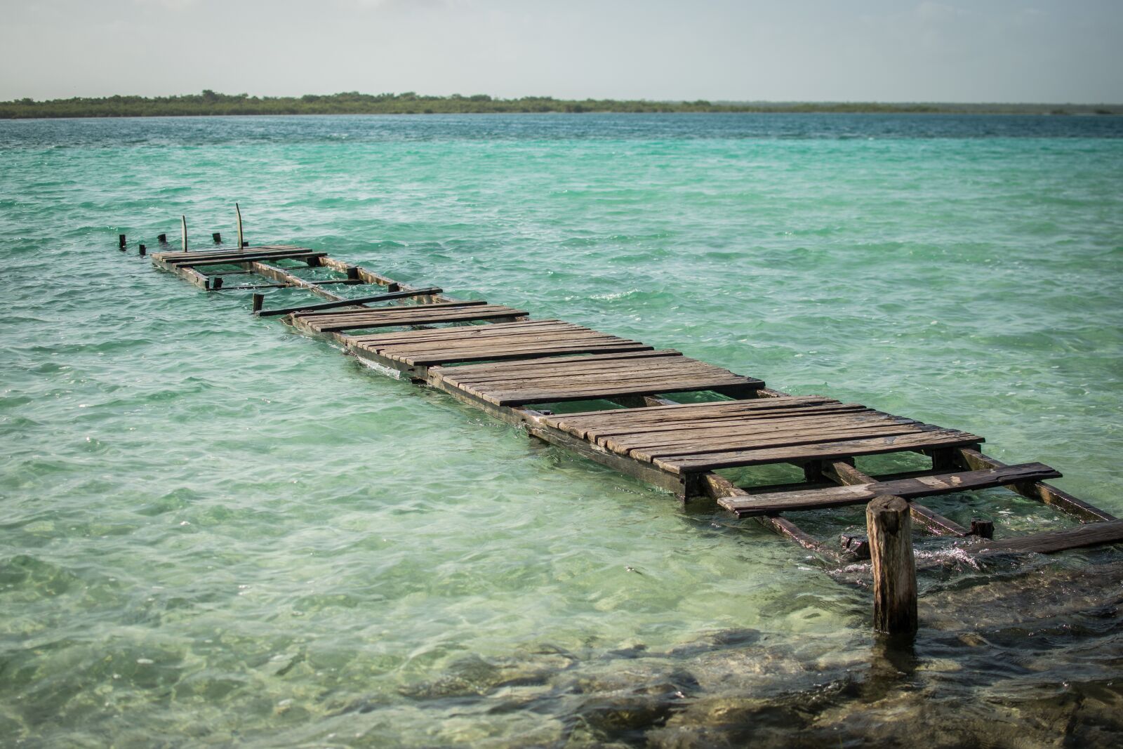 Nikon D5500 sample photo. Lake, bacalar, mexico photography
