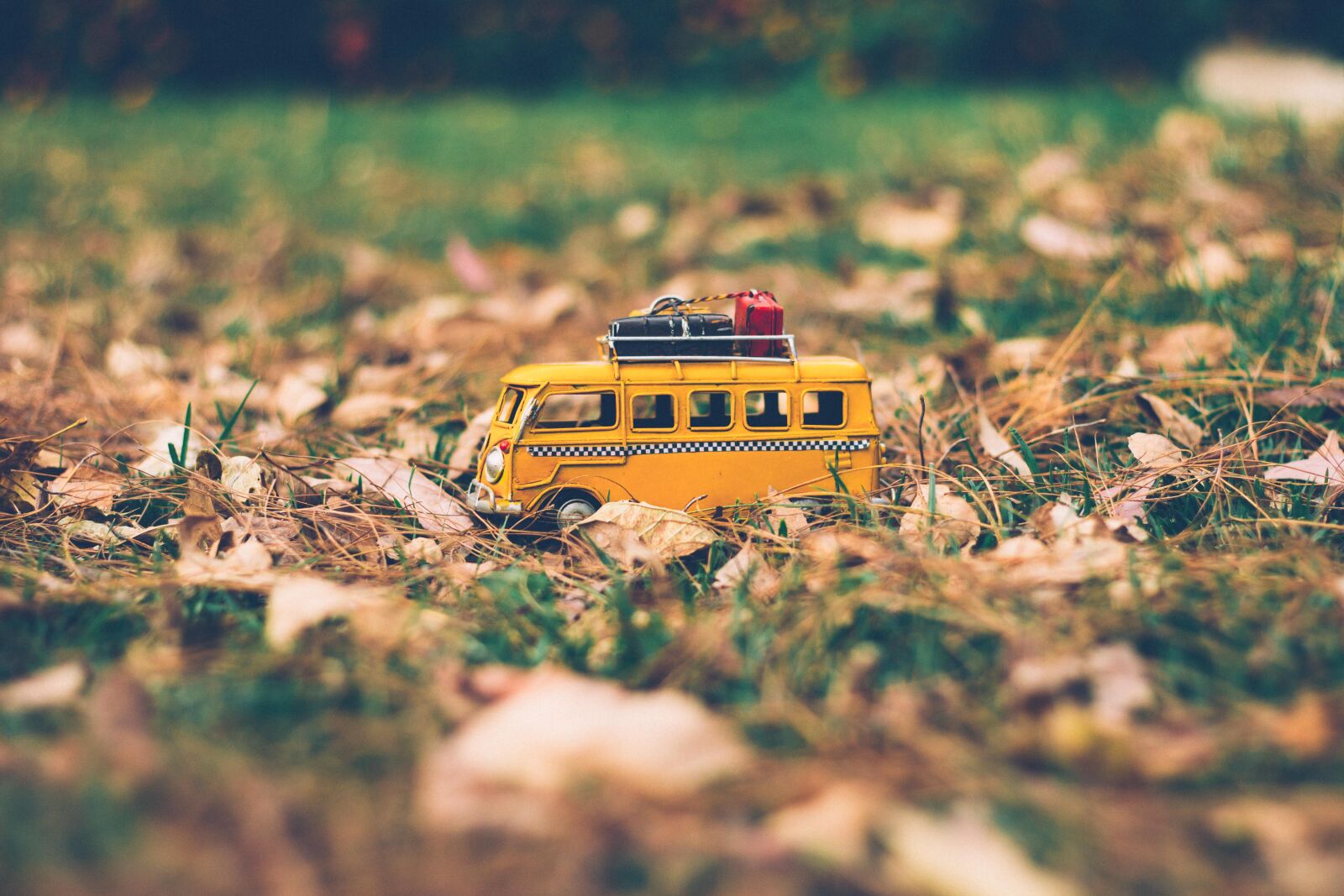 Canon EOS 60D + Canon EF 50mm F1.8 II sample photo. Color, countryside, daylight, environment photography