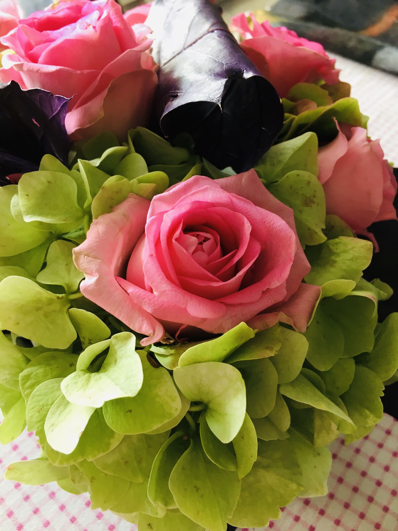 iPhone 6s back camera 4.15mm f/2.2 sample photo. Rose, fleurs, ornamental photography