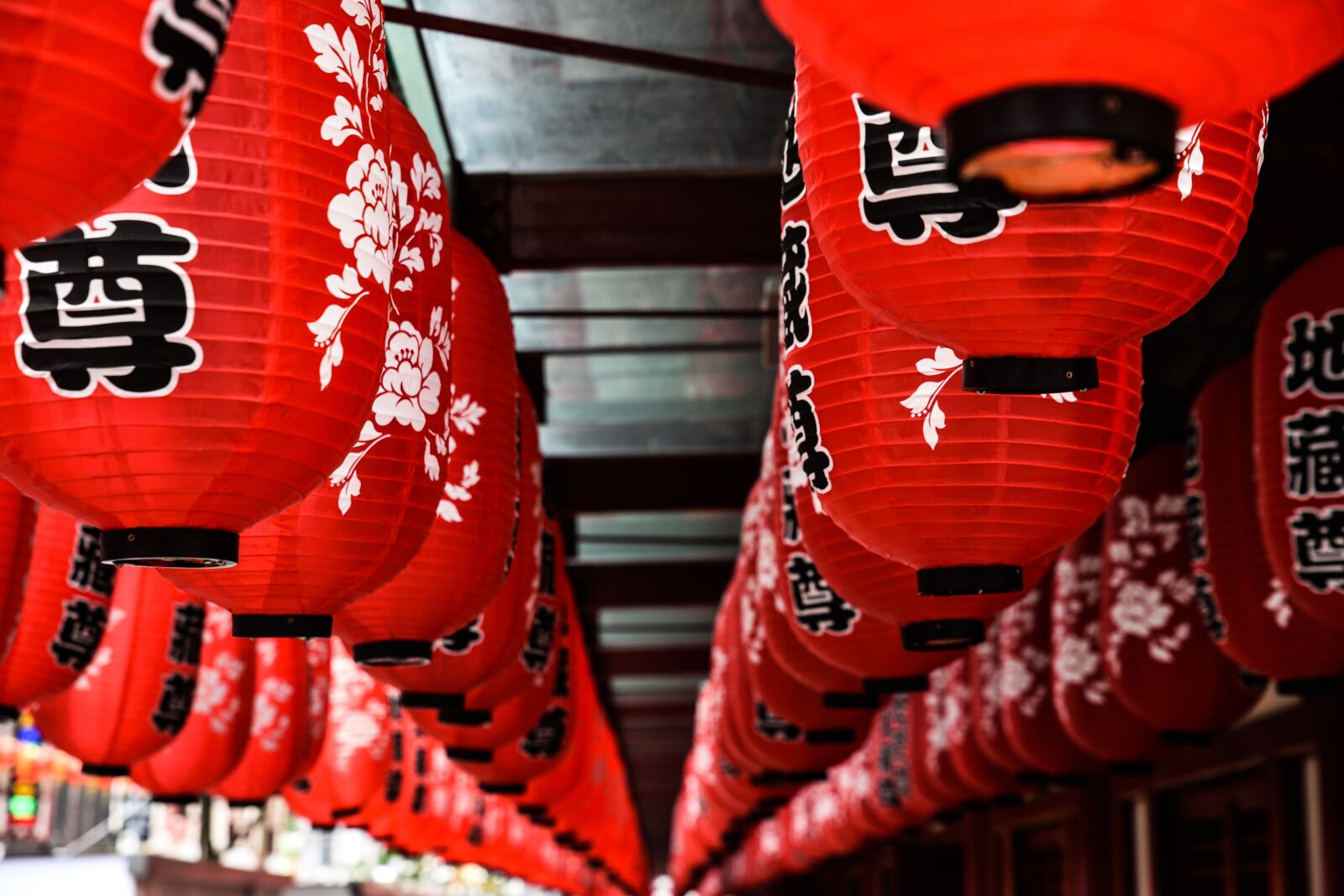 Nikon D750 sample photo. Lampion, chinese lantern, light photography
