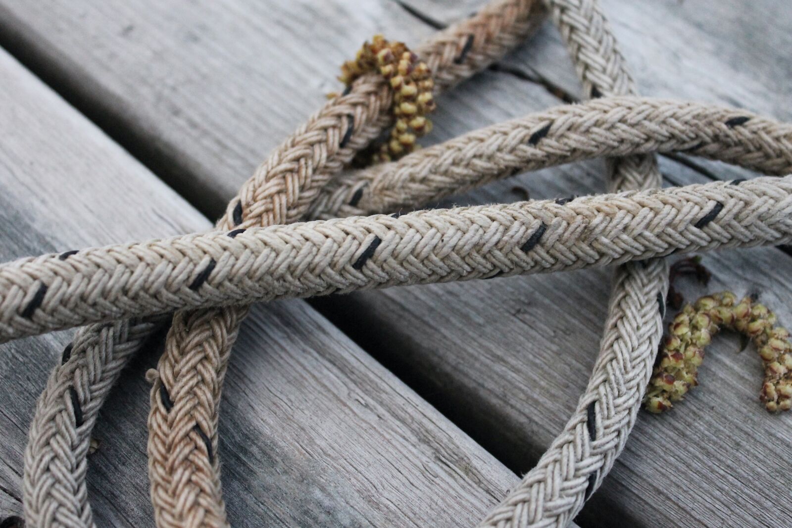 Canon EOS 1100D (EOS Rebel T3 / EOS Kiss X50) sample photo. Rope, wood, dock photography