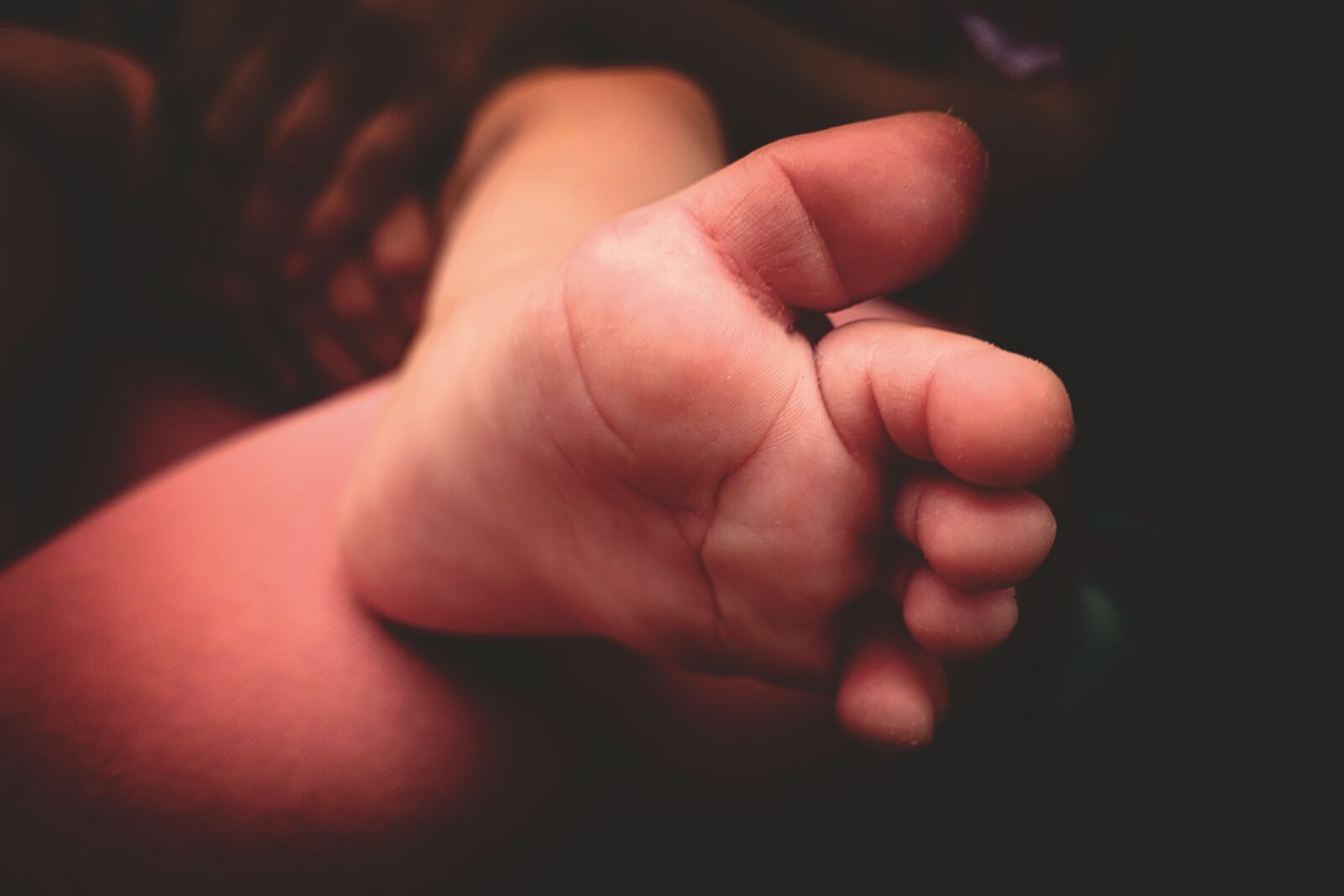 Sony DSC-RX100M5 sample photo. Baby foot, feet, cute photography