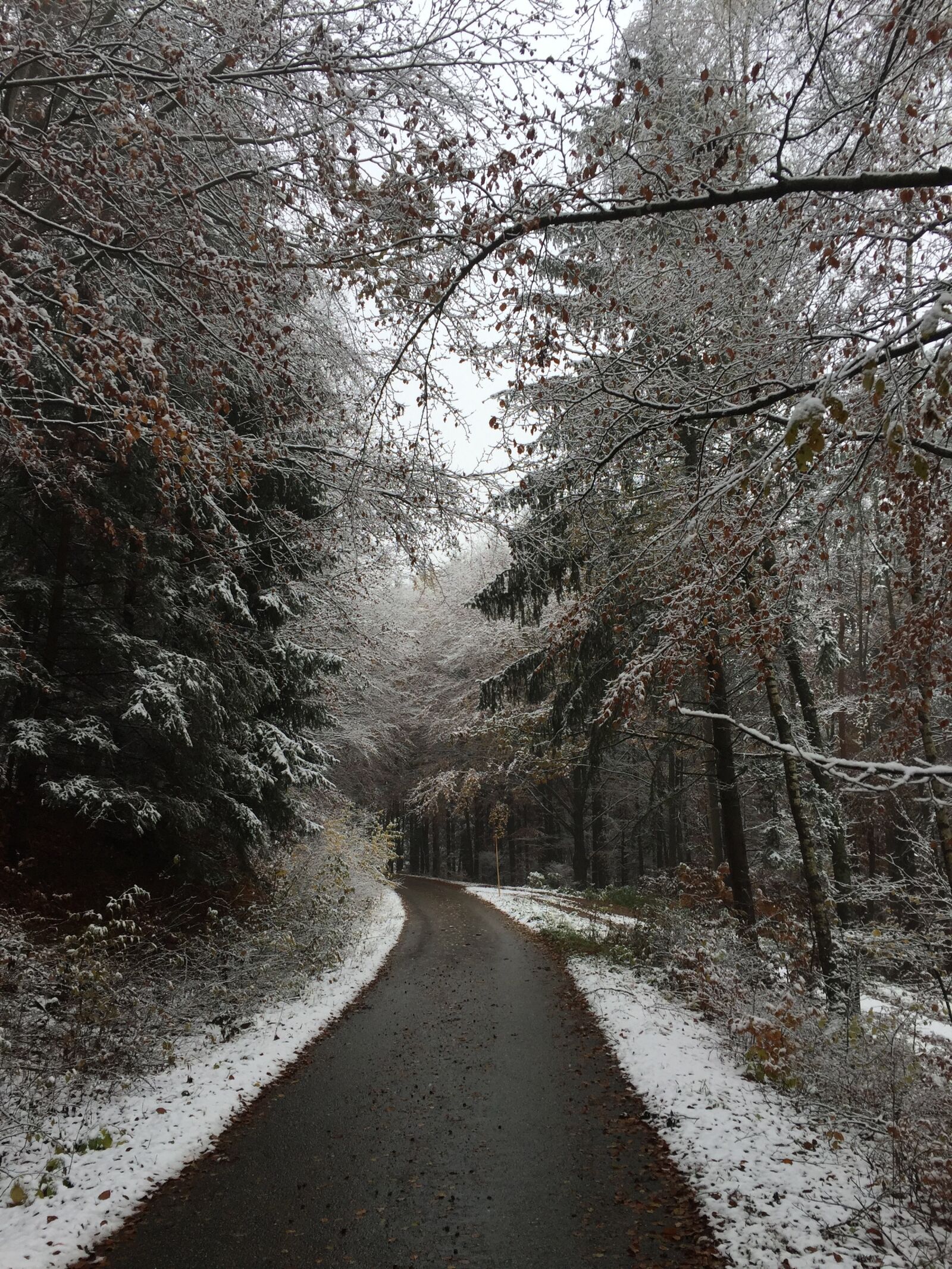 Apple iPhone 6 sample photo. Winter, snow, wintry photography