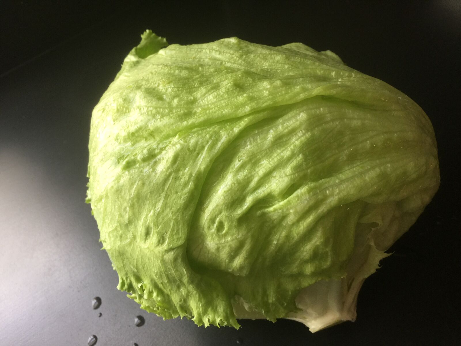 iPhone 6 Plus back camera 4.15mm f/2.2 sample photo. Lettuce, vegetable, salad photography