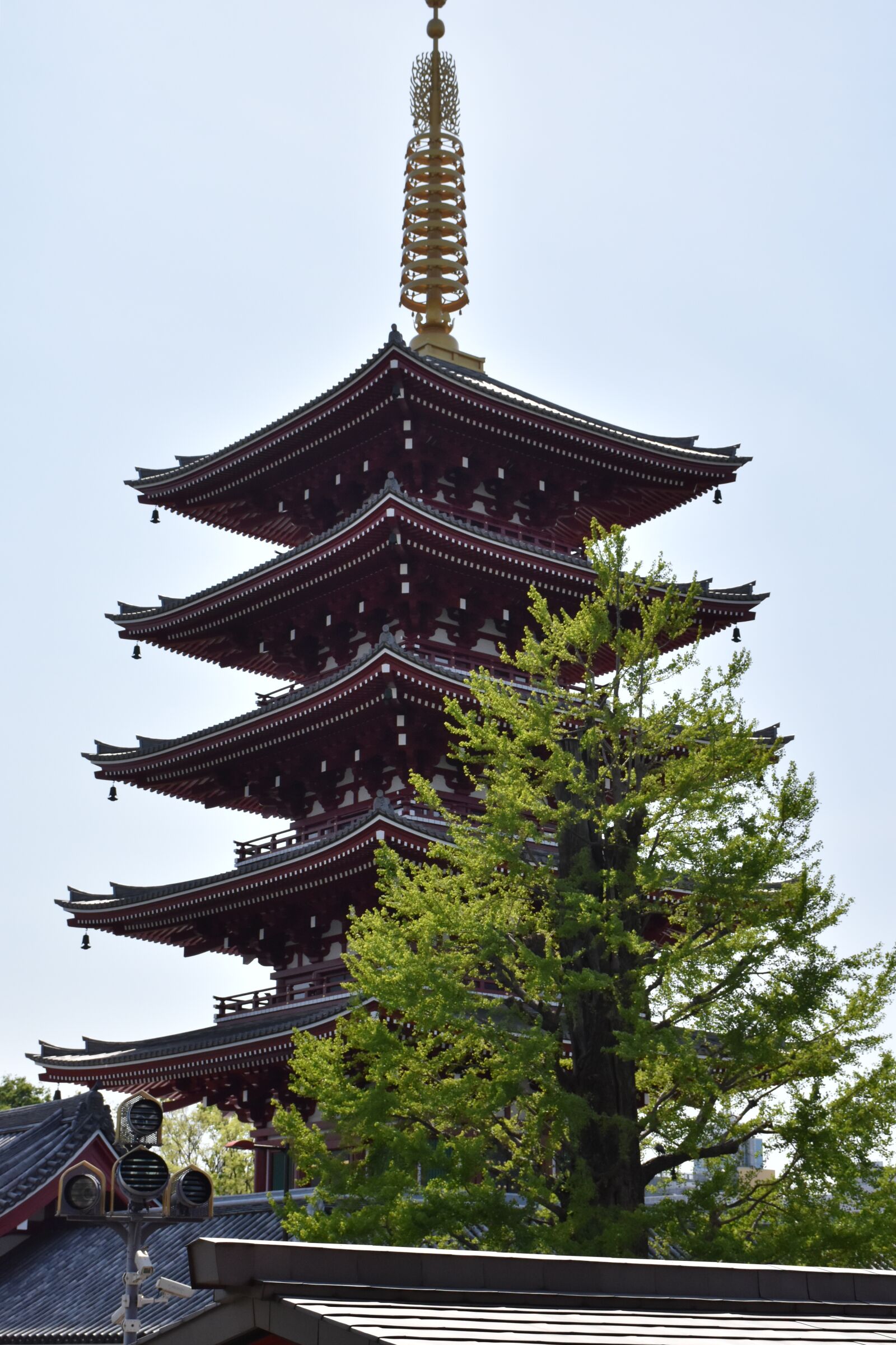 Nikon D5600 sample photo. Measure, japan, country japan photography