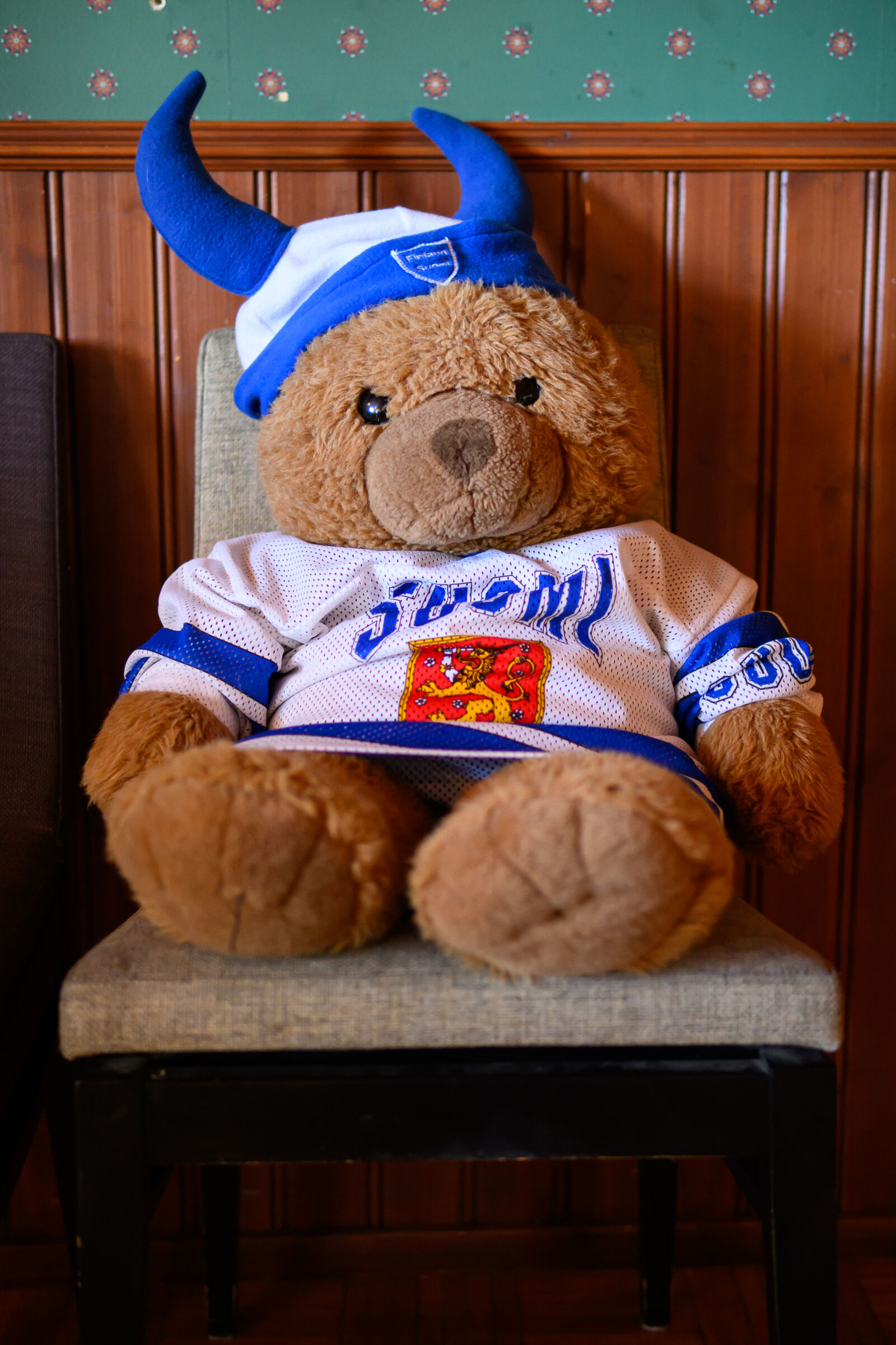 30mm F1.4 DC DN | Contemporary 016 sample photo. Teddy waiting photography