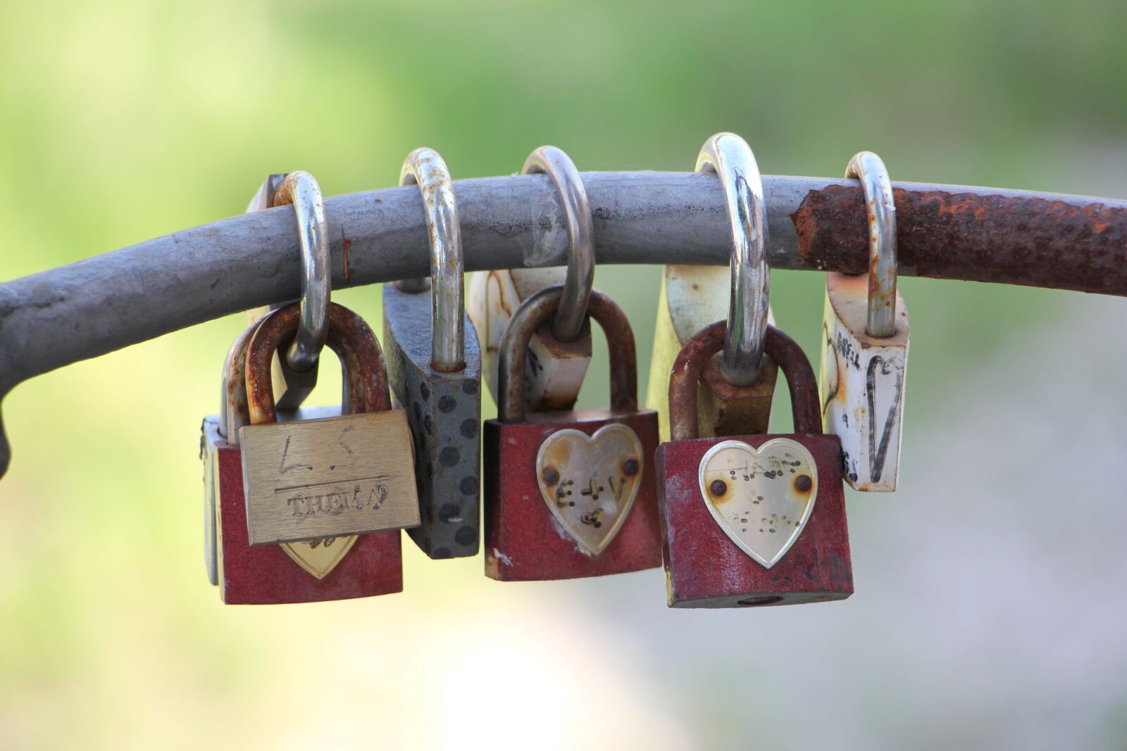 Canon EOS 550D (EOS Rebel T2i / EOS Kiss X4) sample photo. Heart, love, verona photography